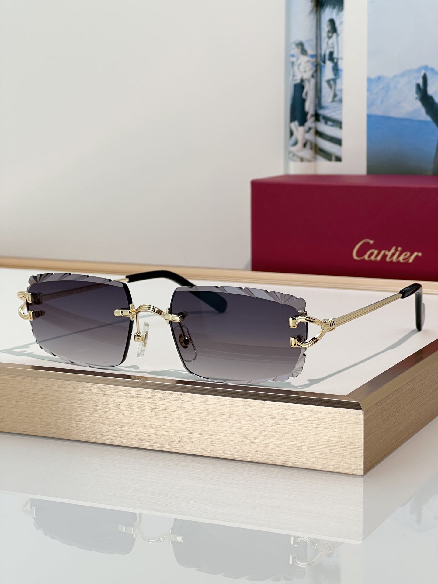 Designer Sunglasses CT0632S