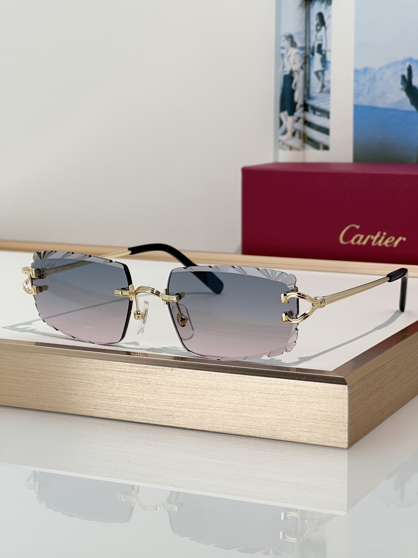 Designer Sunglasses CT0632S