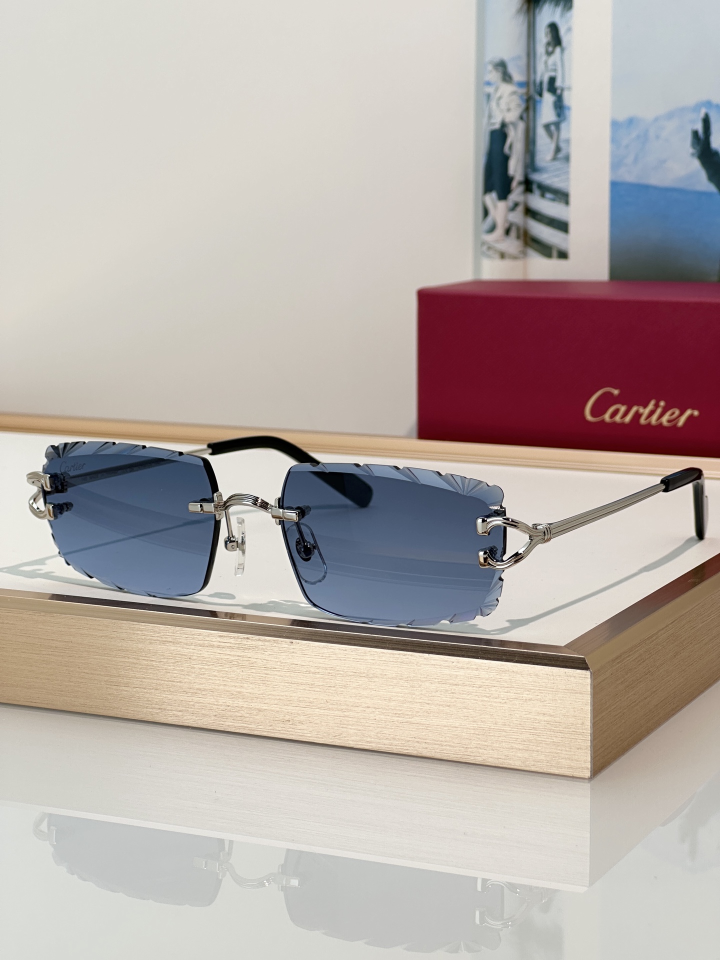 Designer Sunglasses CT0632S