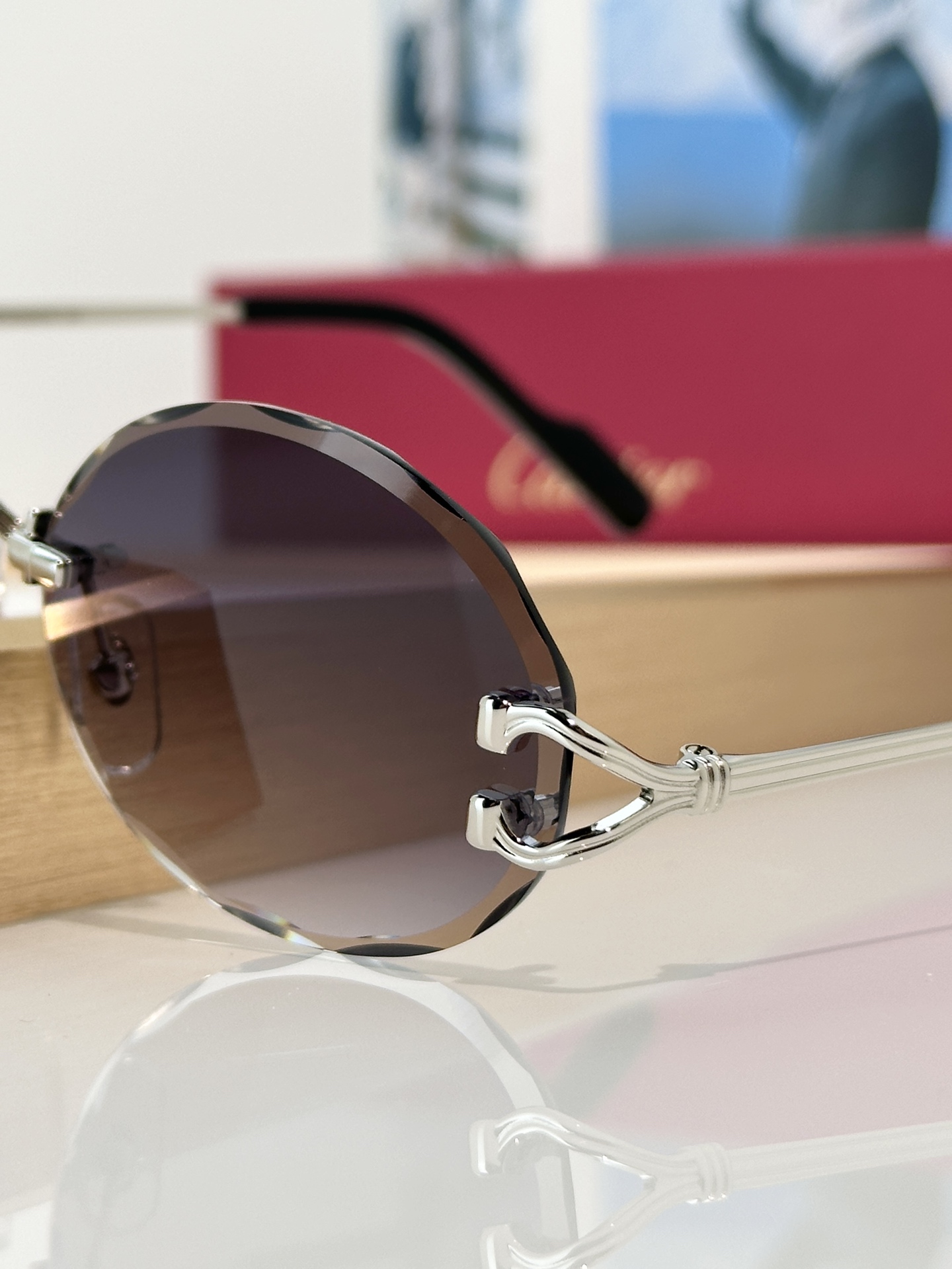 Designer Sunglasses CT0631S
