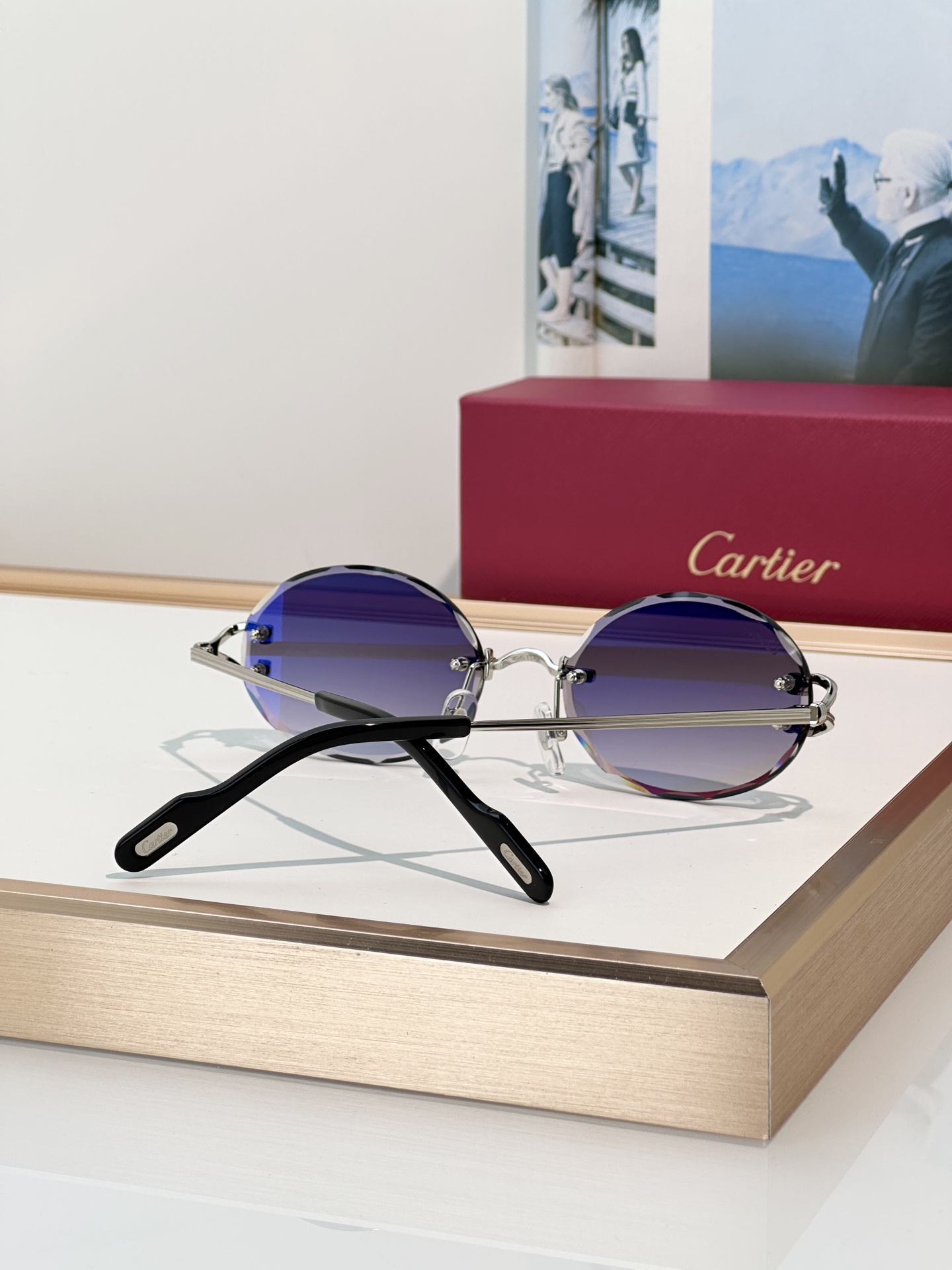 Designer Sunglasses CT0631S