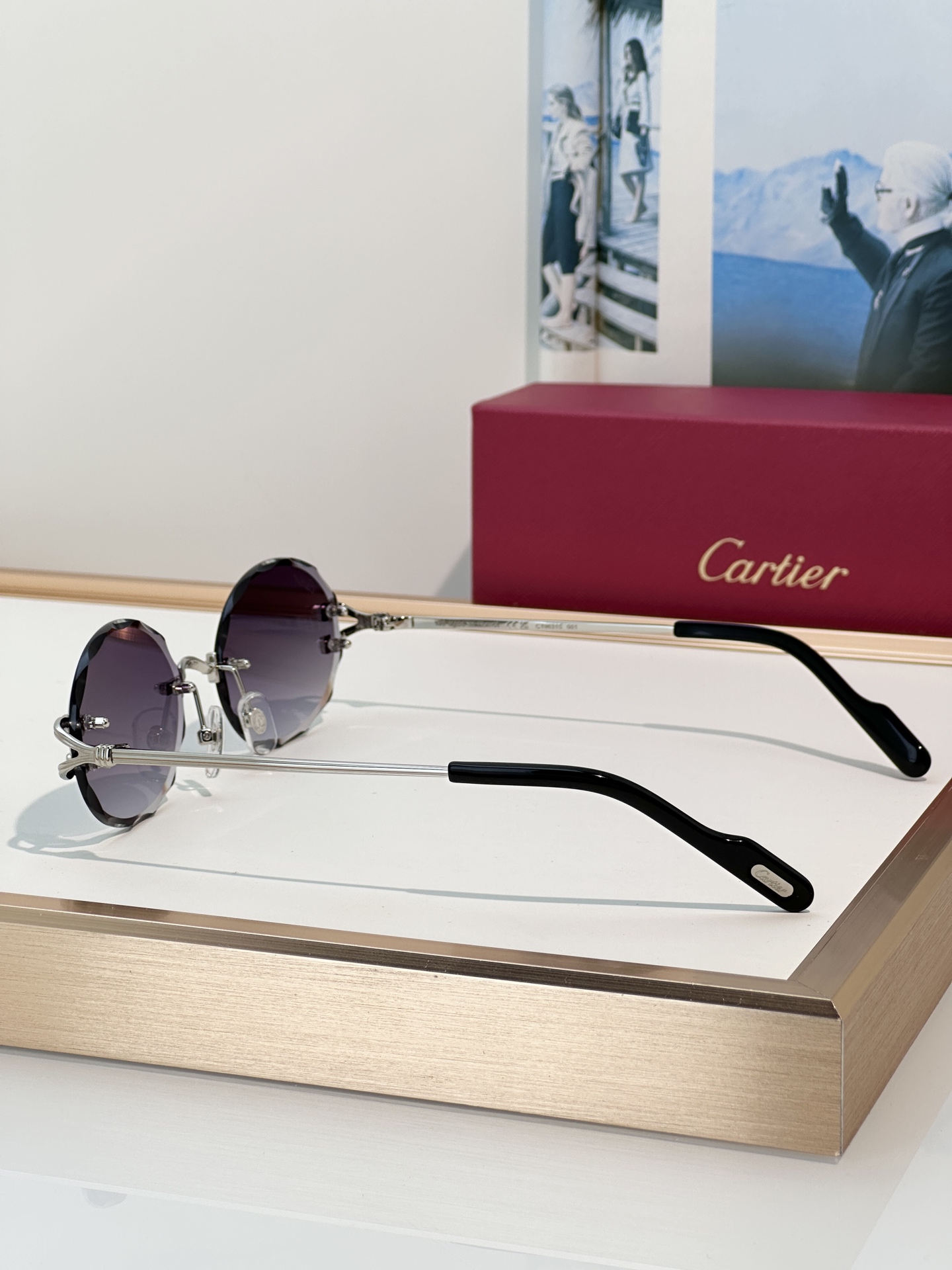 Designer Sunglasses CT0631S