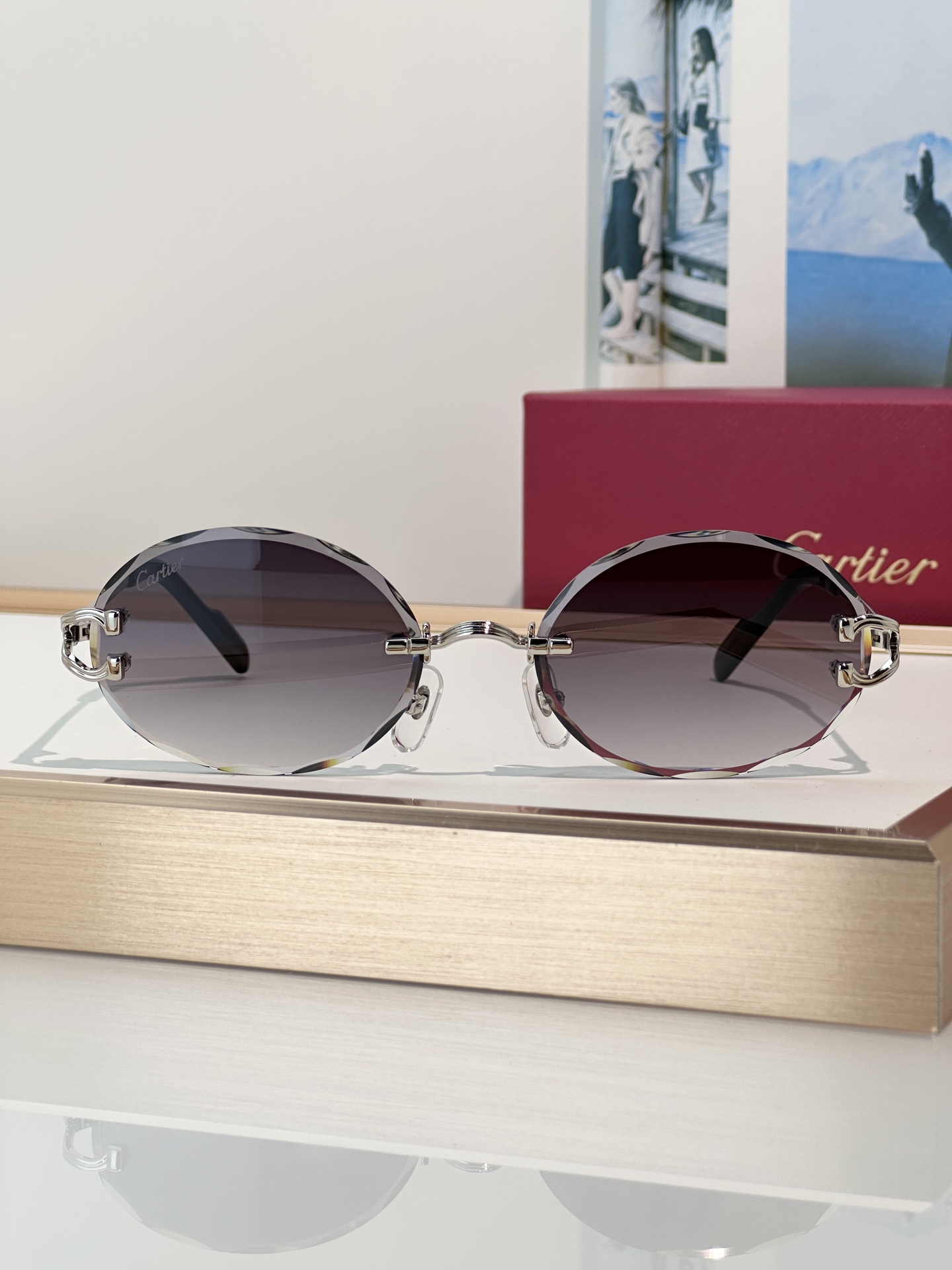 Designer Sunglasses CT0631S