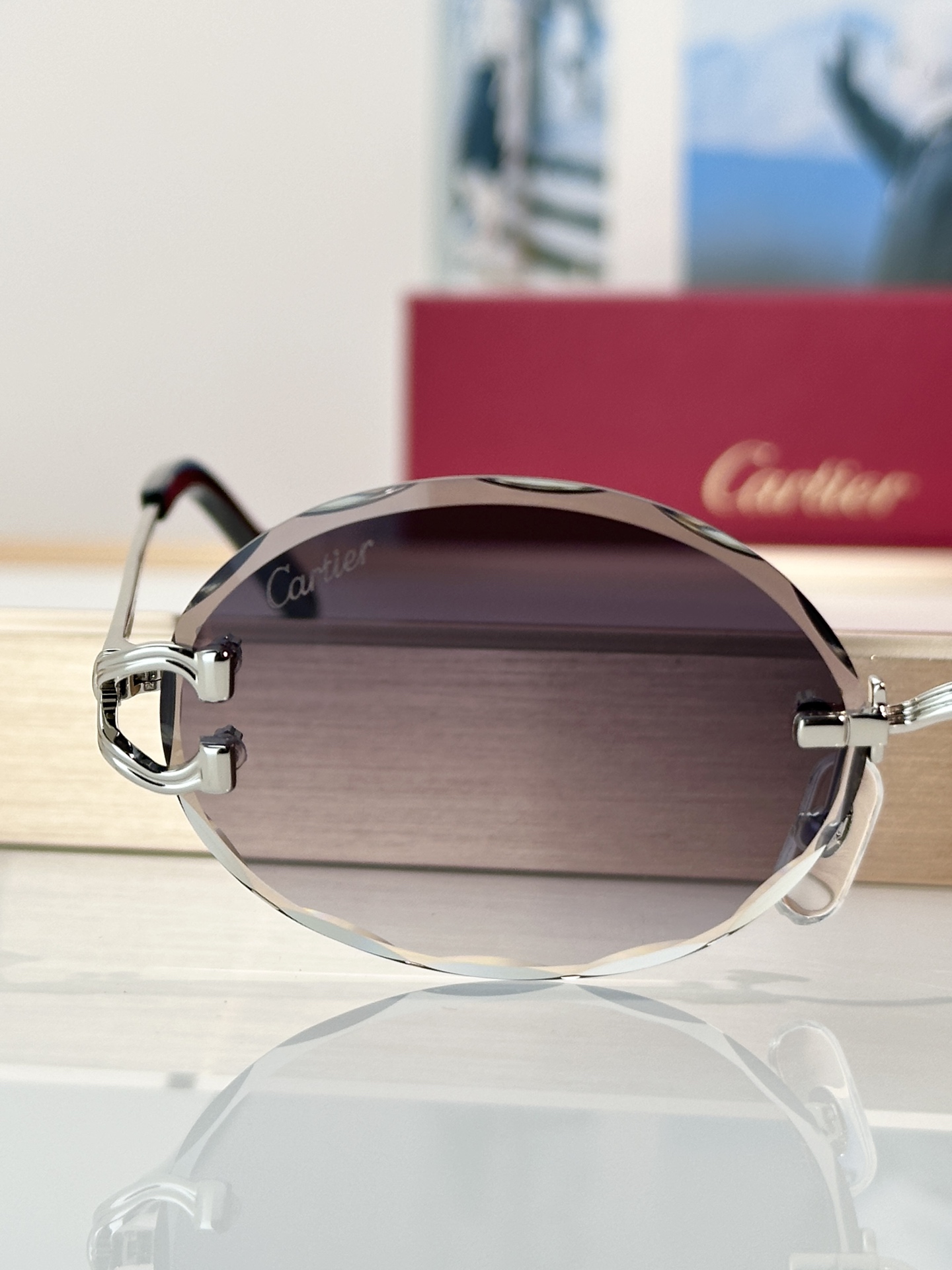Designer Sunglasses CT0631S