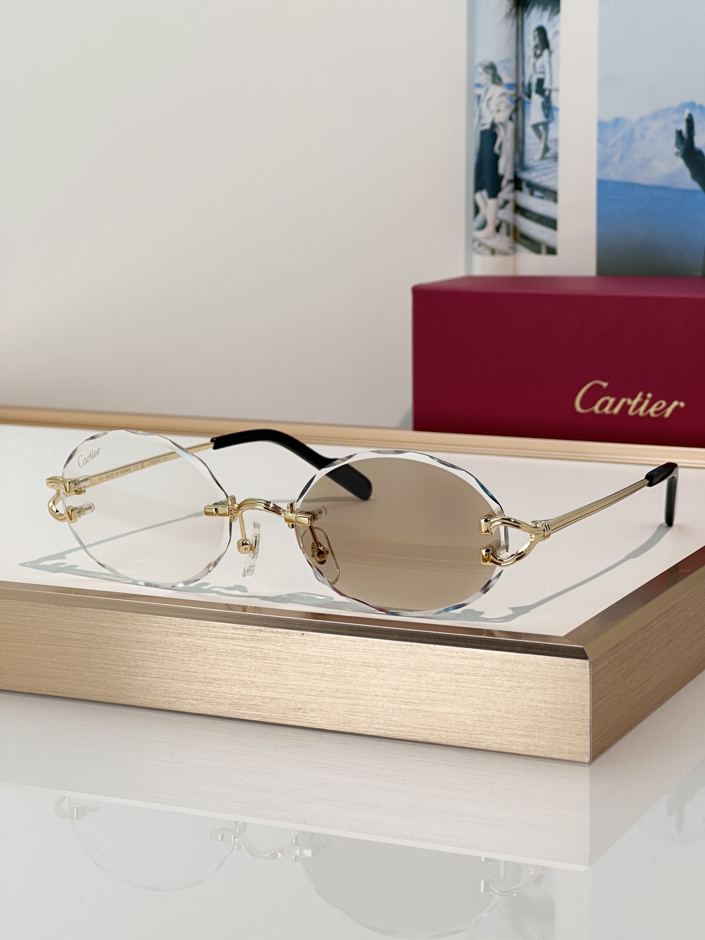 Designer Sunglasses CT0631S