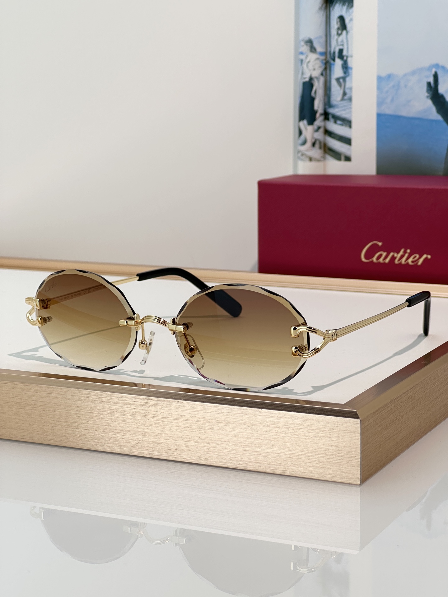 Designer Sunglasses CT0631S