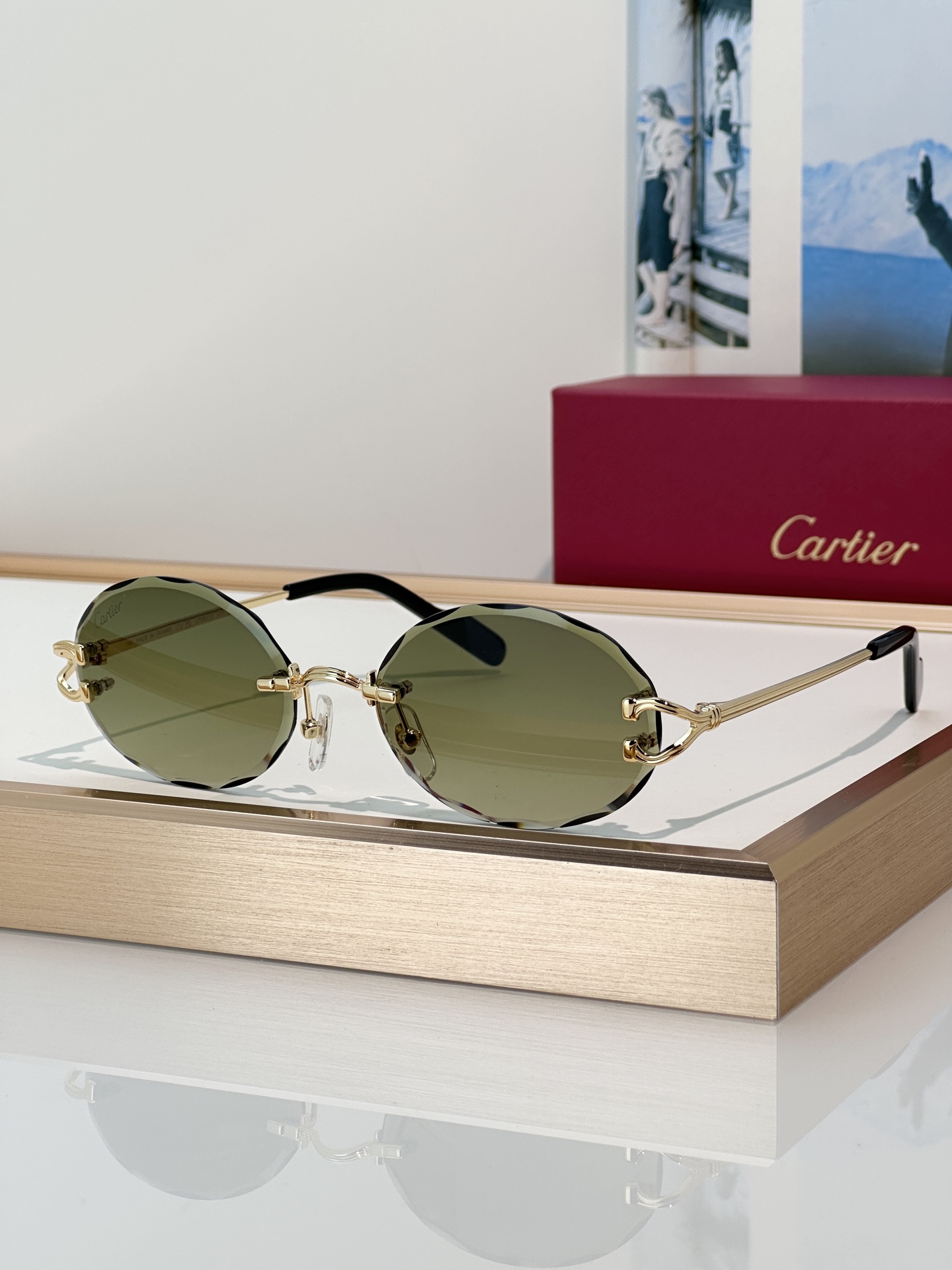 Designer Sunglasses CT0631S