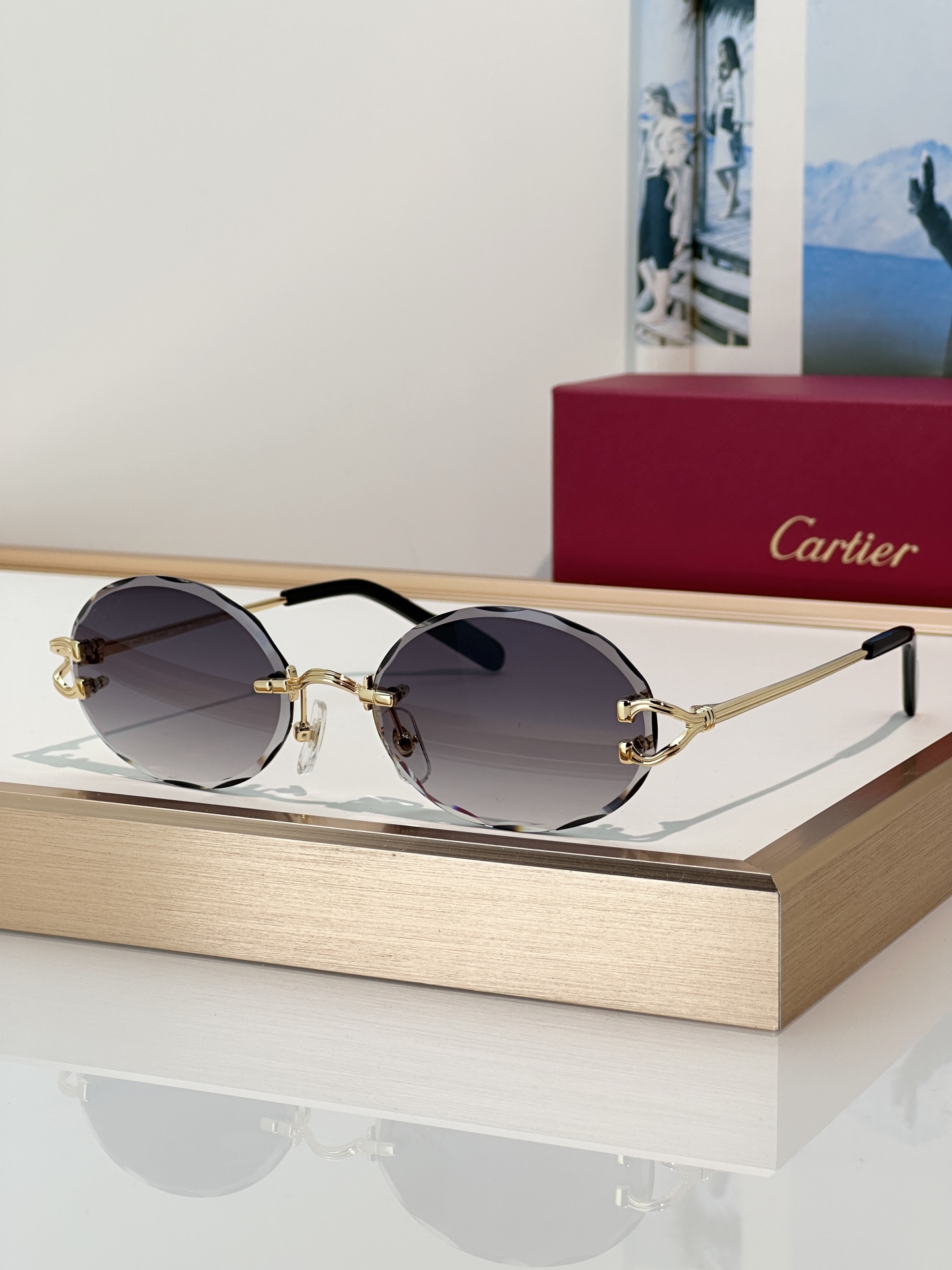 Designer Sunglasses CT0631S