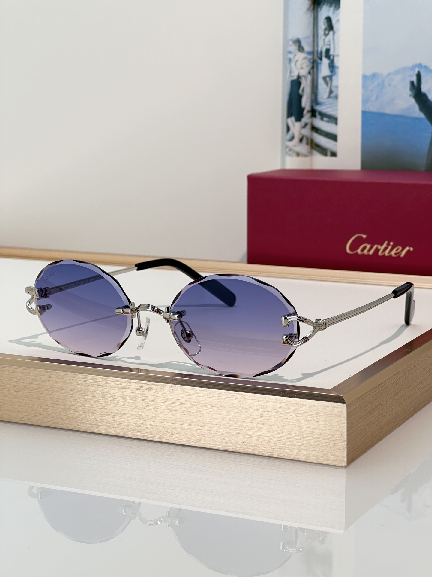 Designer Sunglasses CT0631S