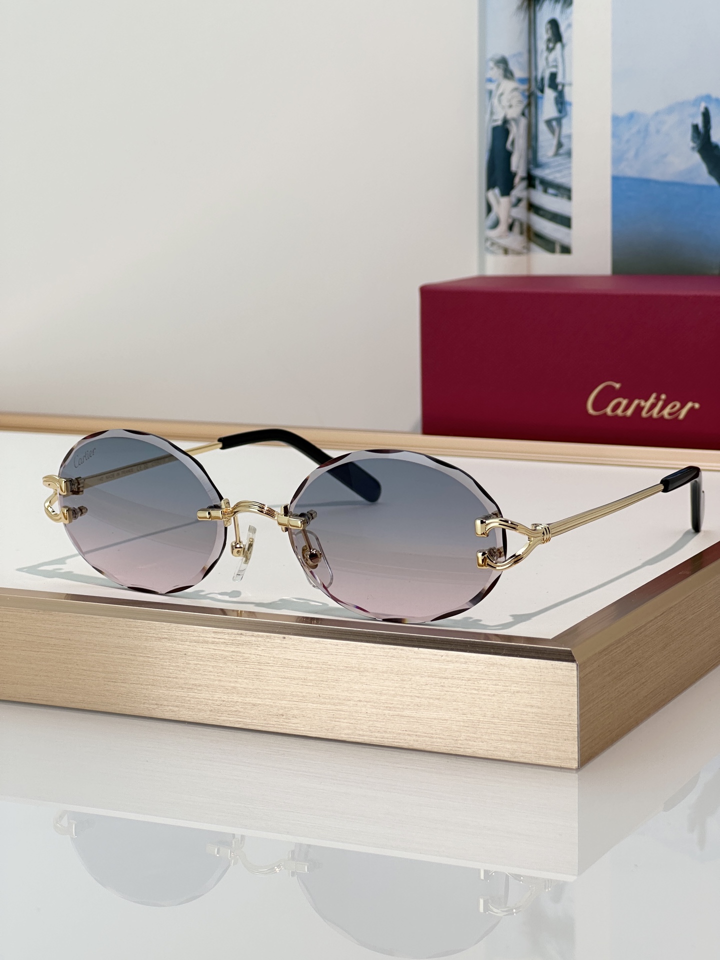 Designer Sunglasses CT0631S
