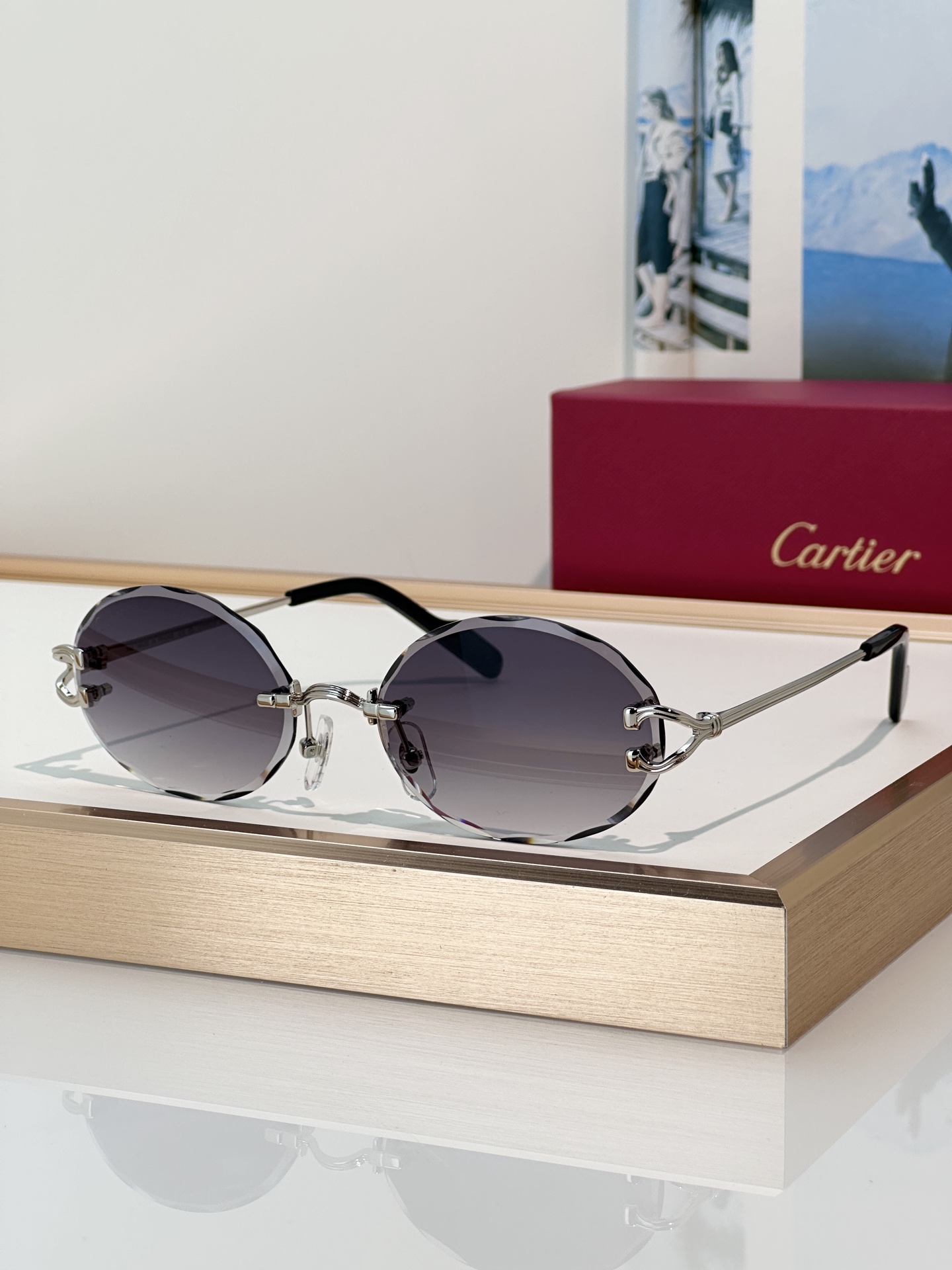 Designer Sunglasses CT0631S