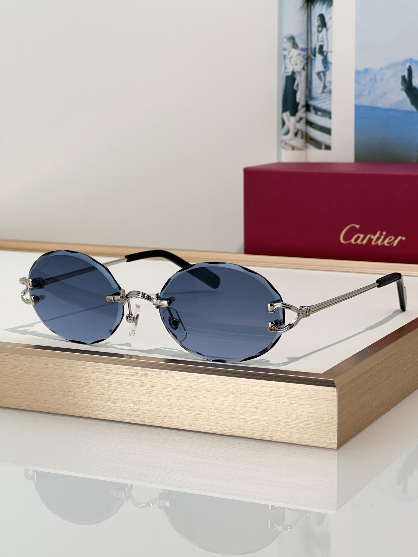 Designer Sunglasses CT0631S