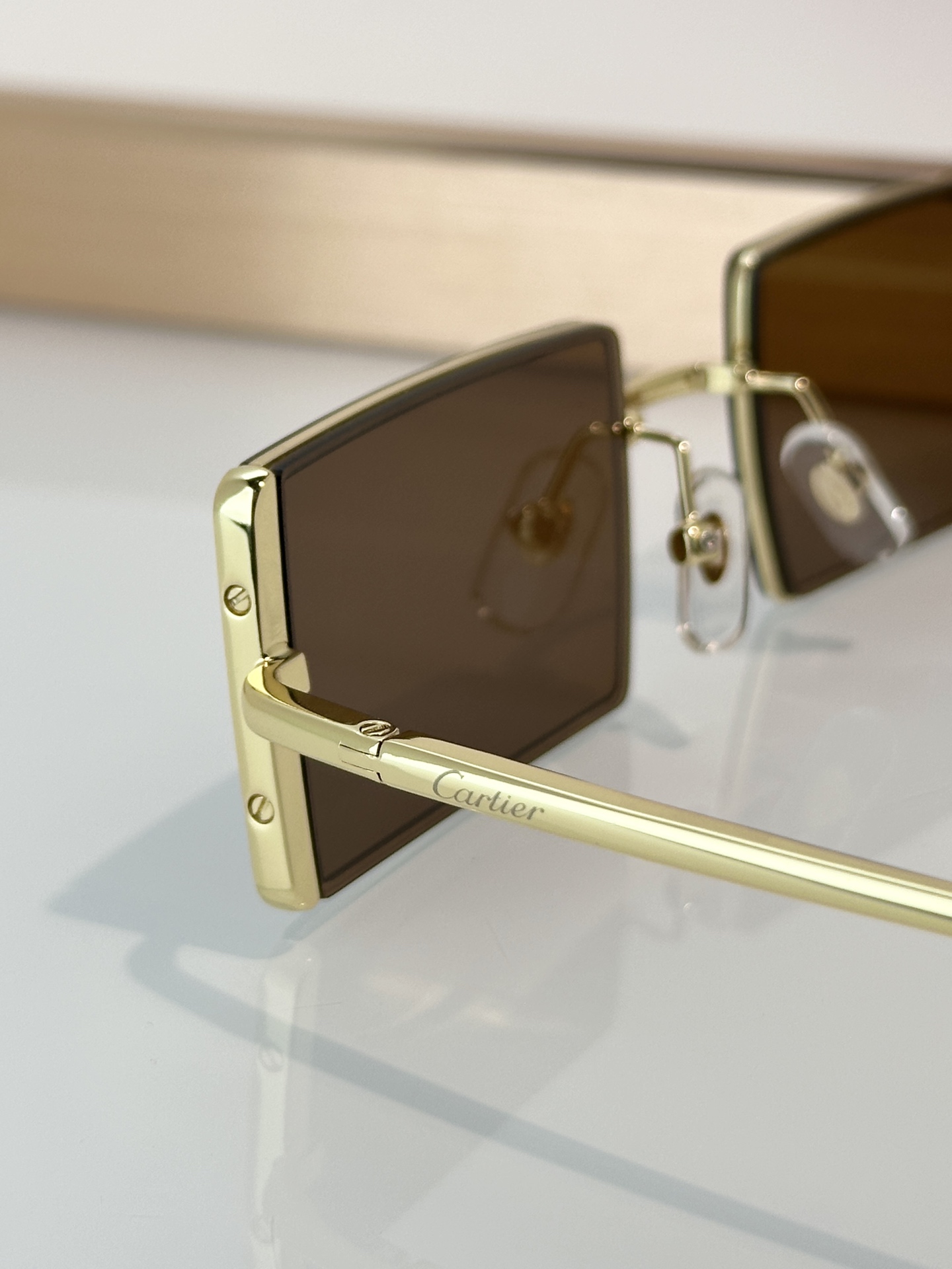 Designer Sunglasses CT0728S