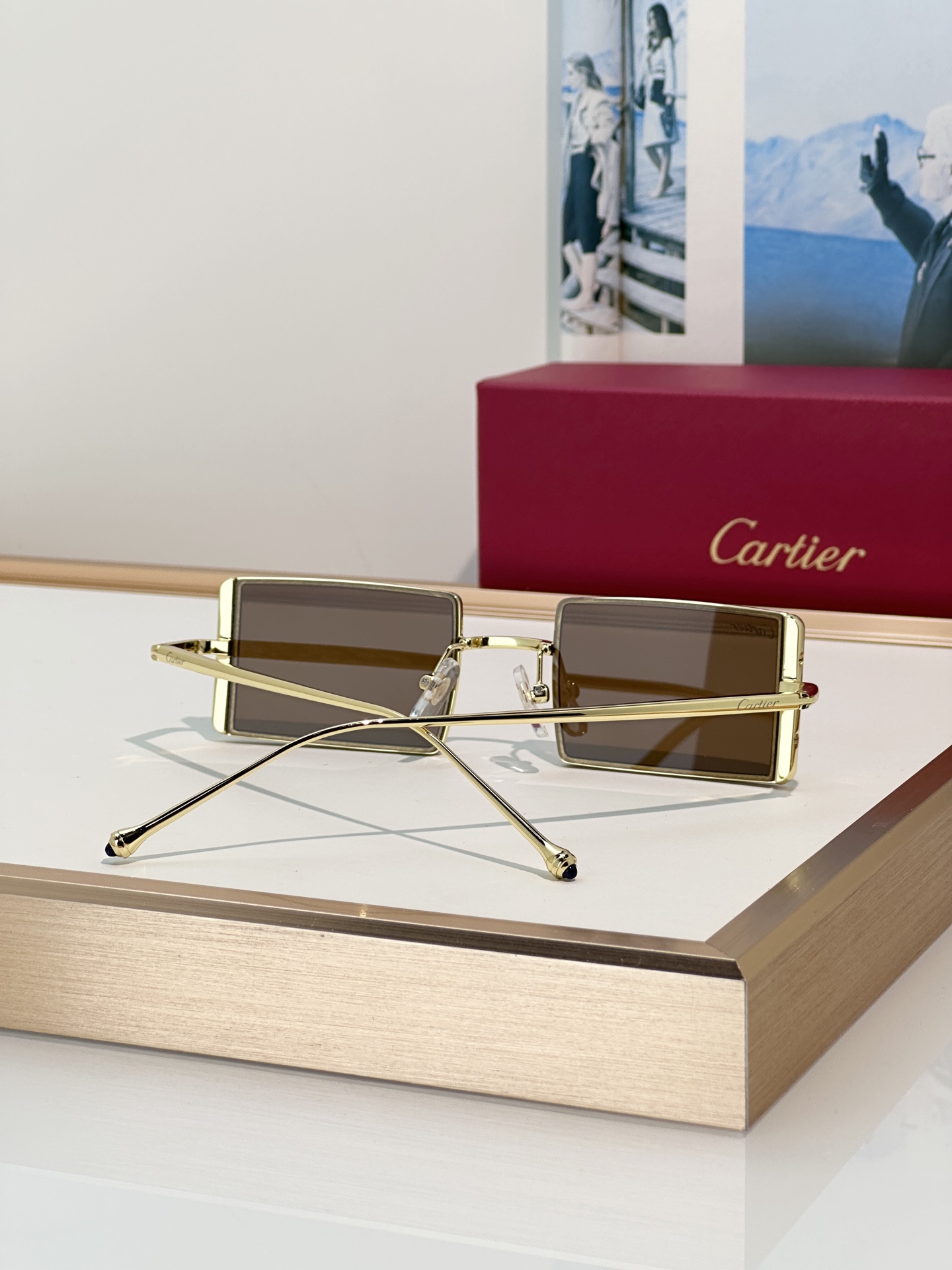Designer Sunglasses CT0728S
