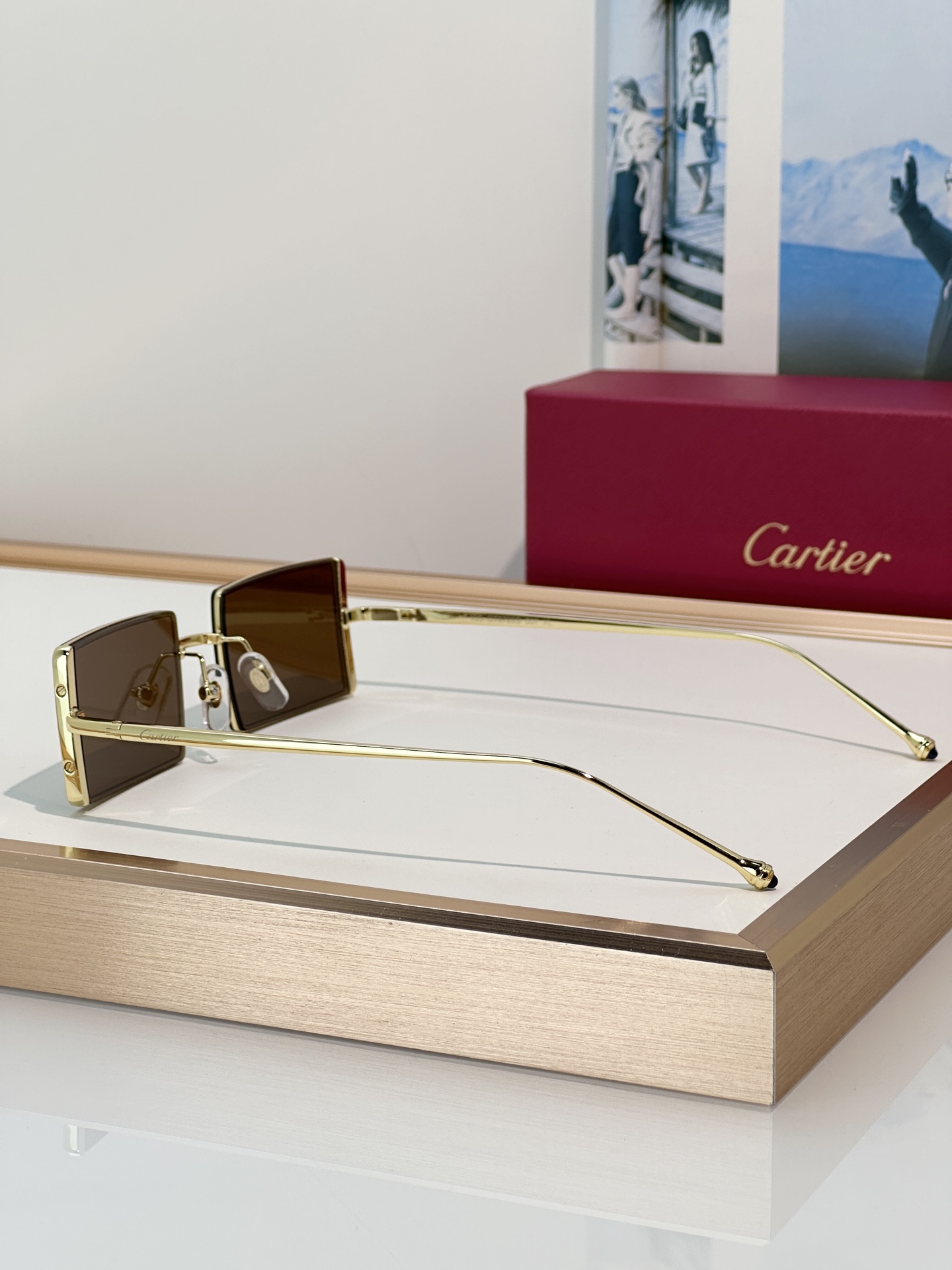 Designer Sunglasses CT0728S