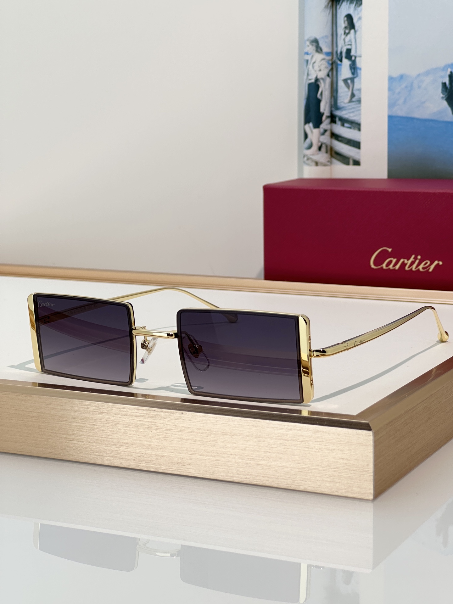 Designer Sunglasses CT0728S