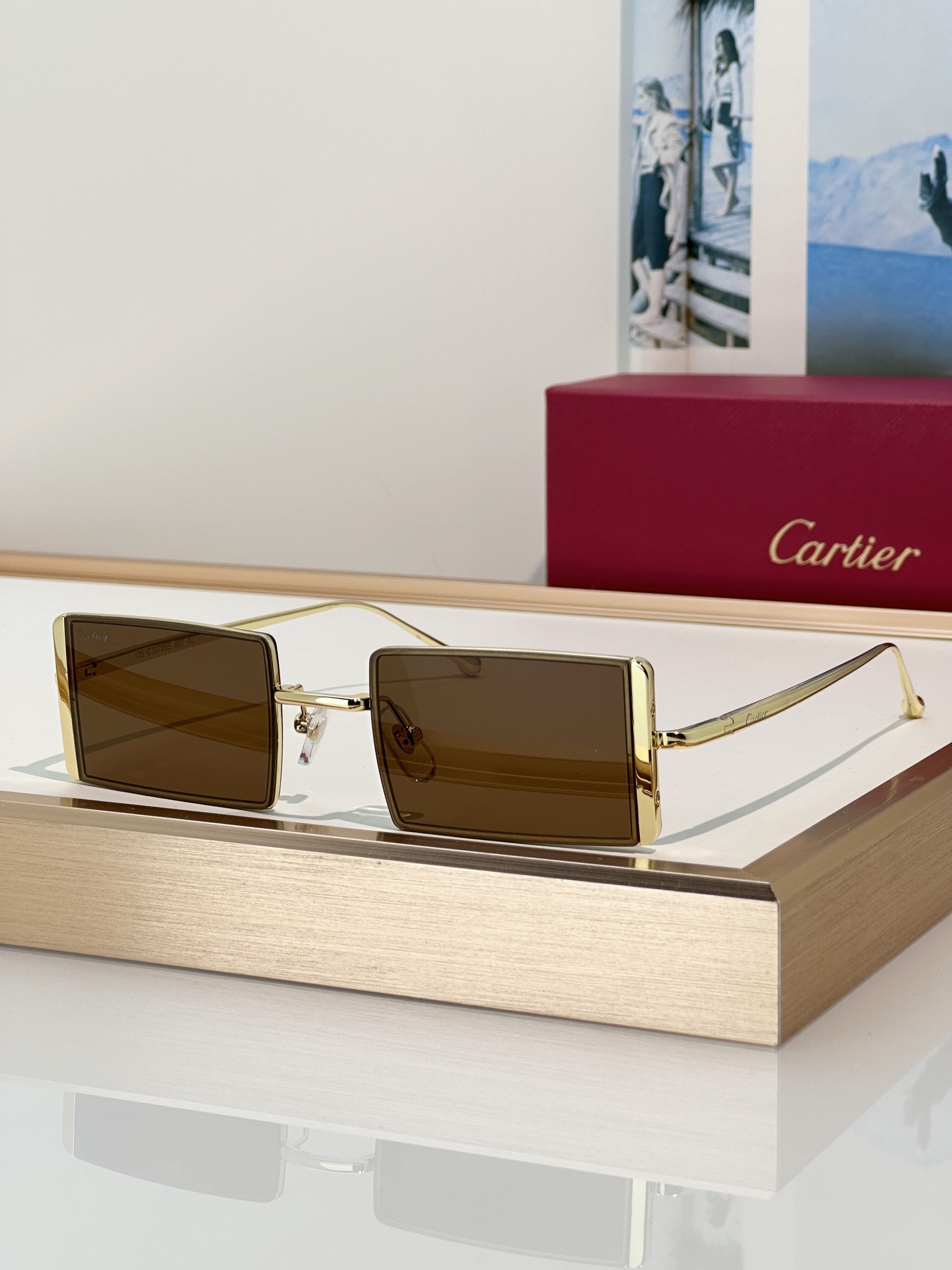 Designer Sunglasses CT0728S