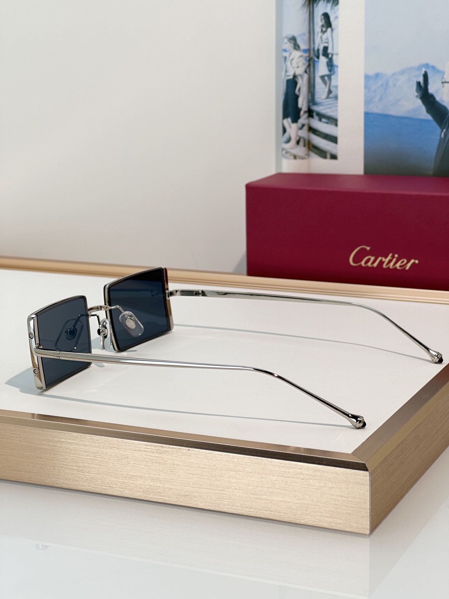 Designer Sunglasses CT0728S