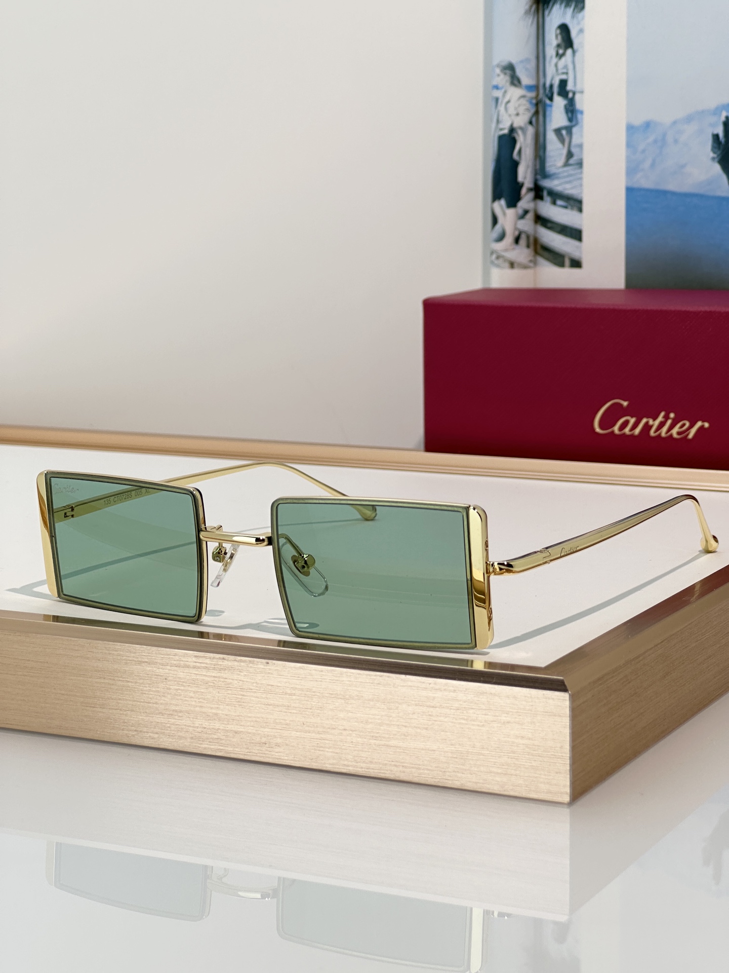 Designer Sunglasses CT0728S