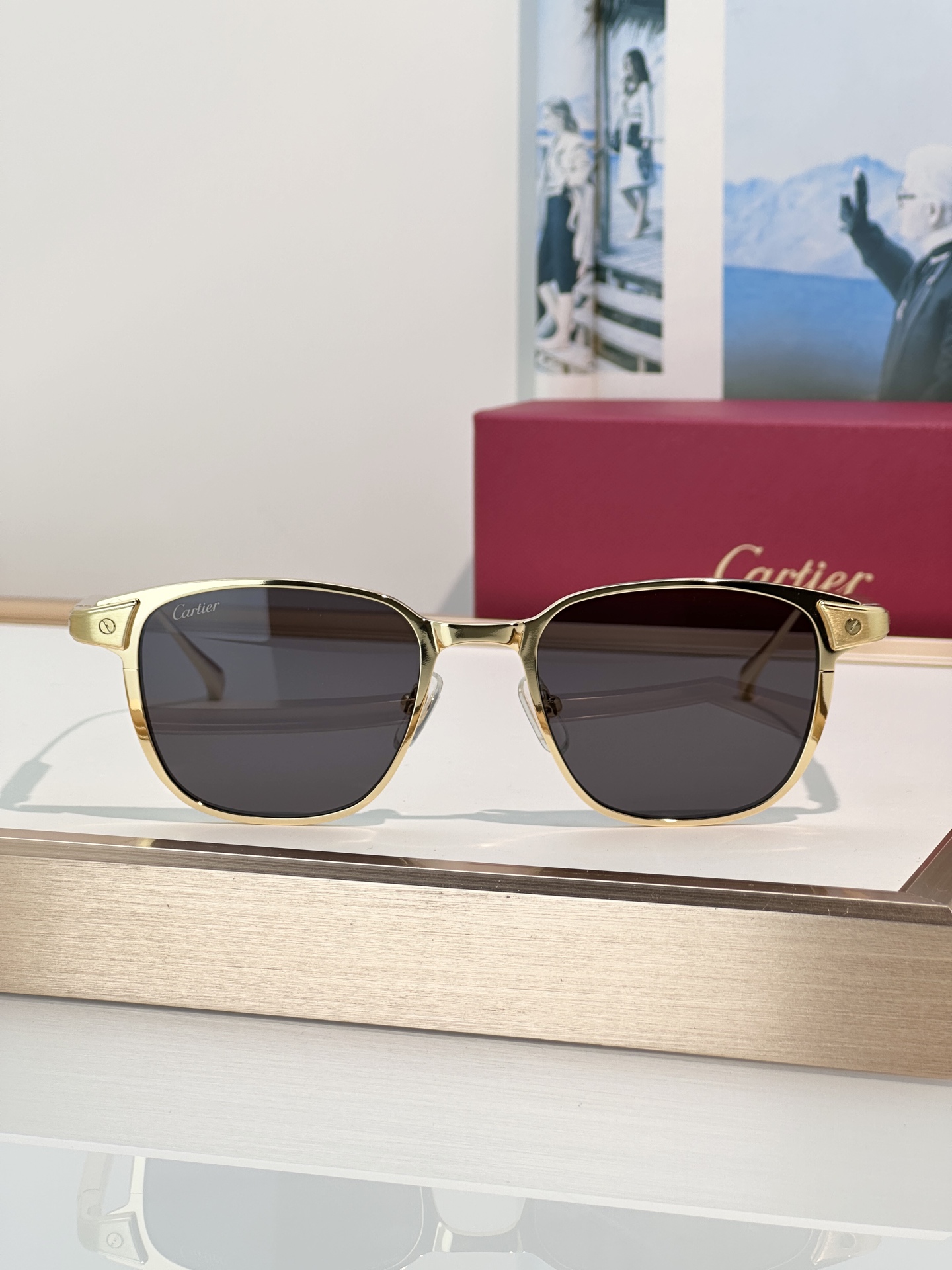 Designer Sunglasses CT0700S