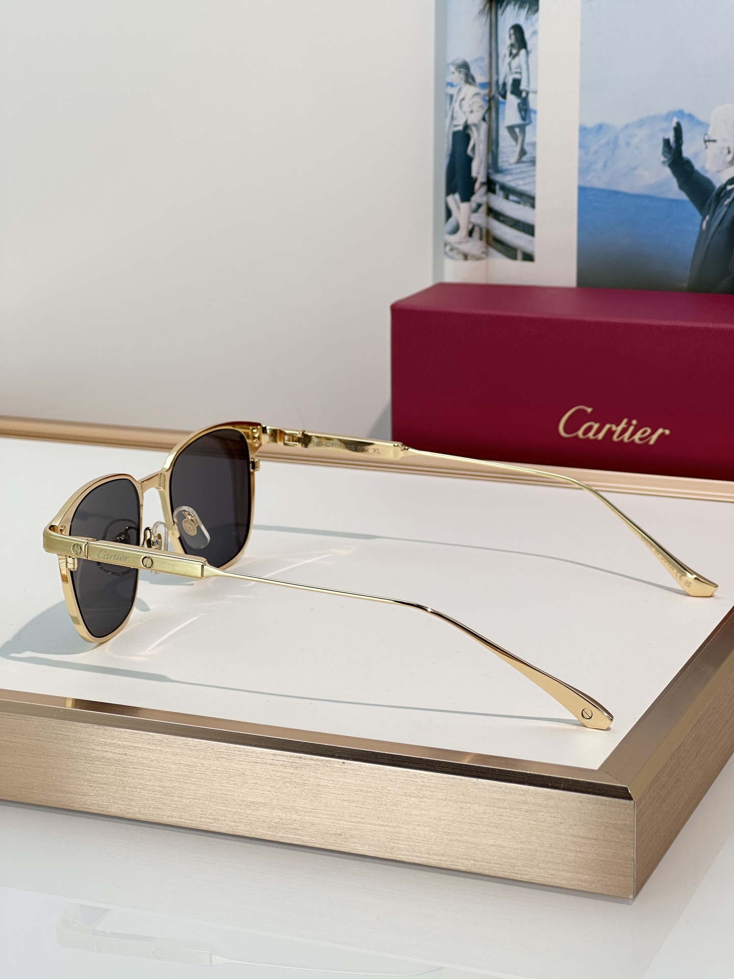 Designer Sunglasses CT0700S