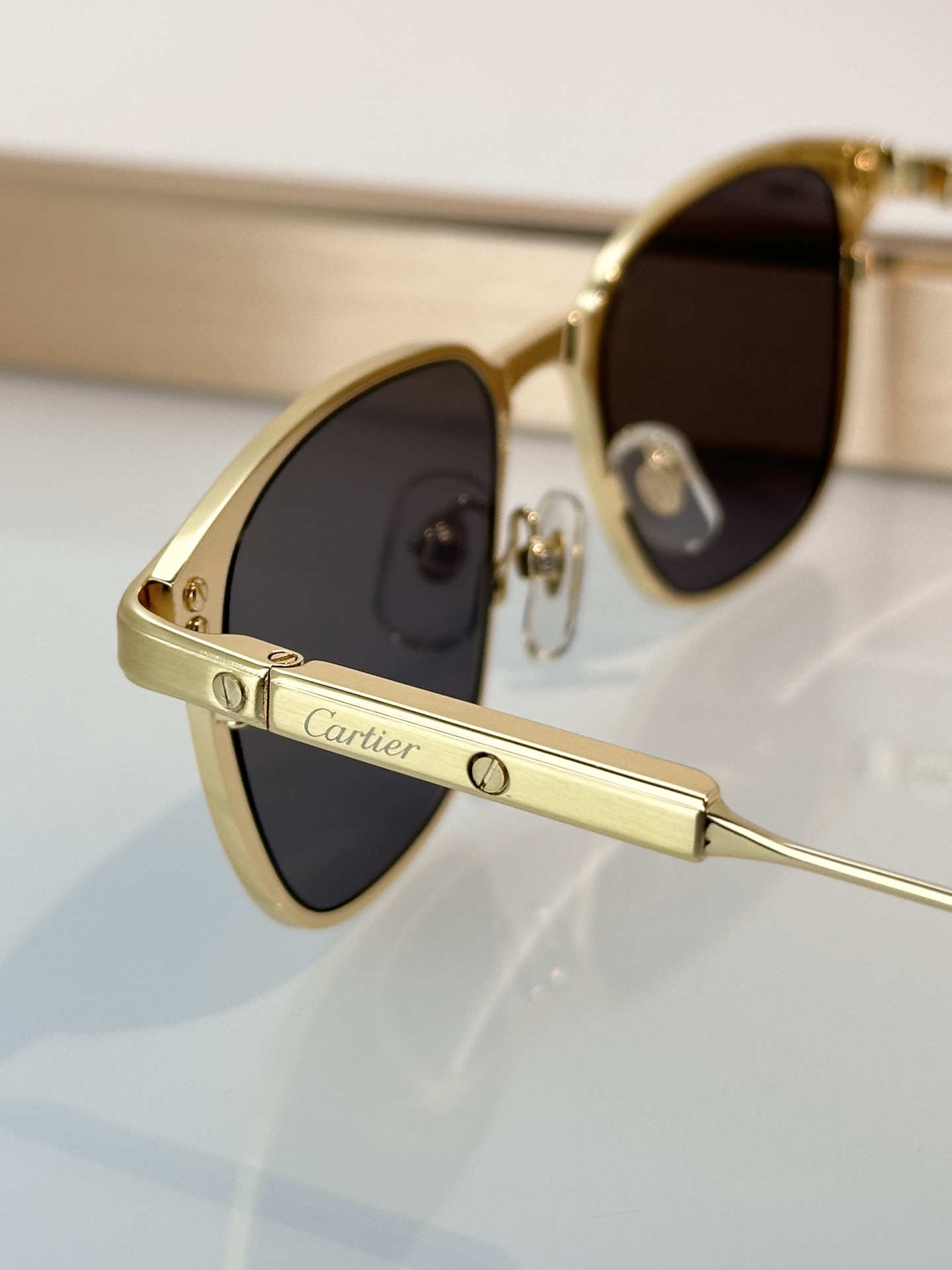 Designer Sunglasses CT0700S