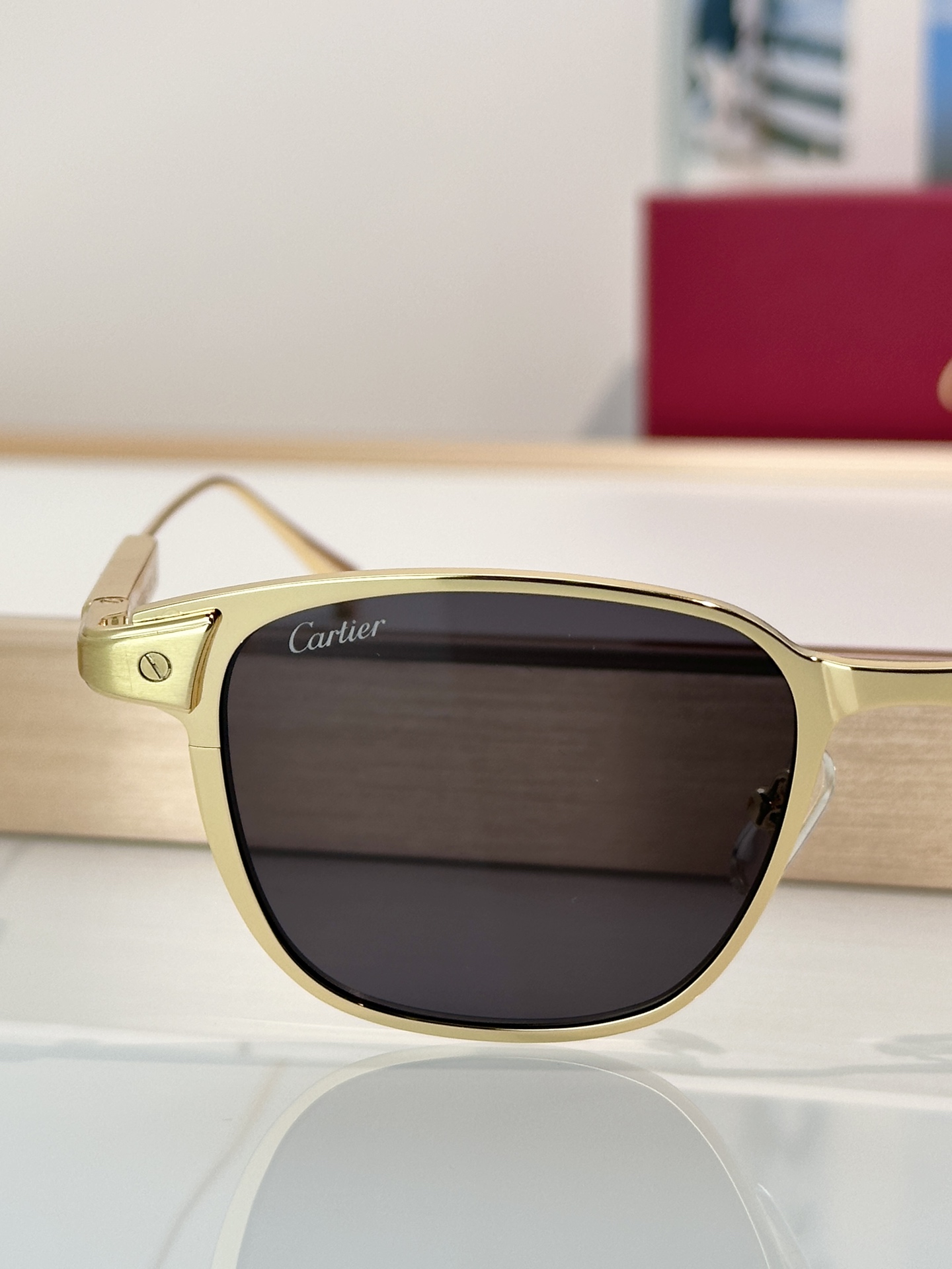 Designer Sunglasses CT0700S