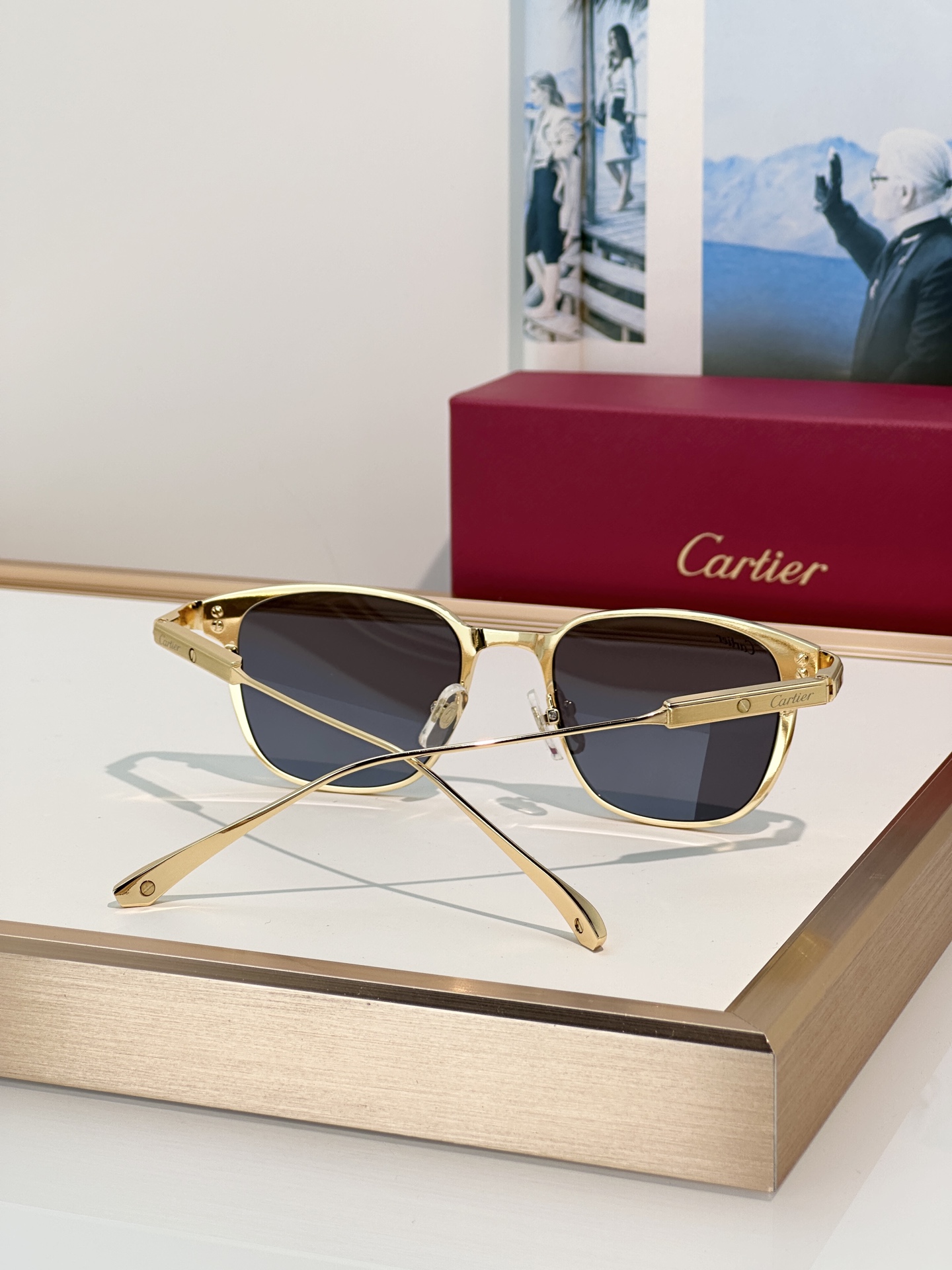 Designer Sunglasses CT0700S