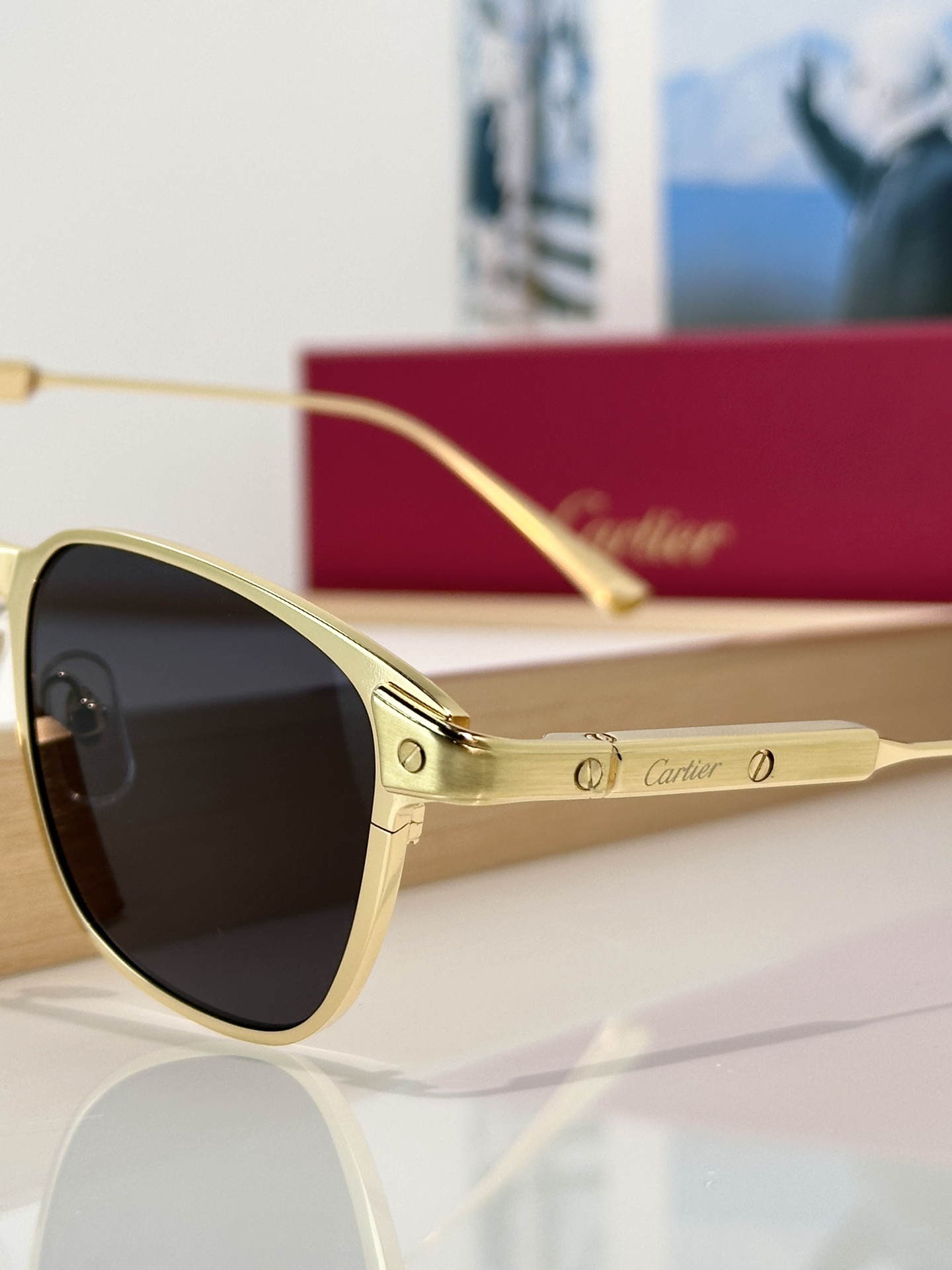 Designer Sunglasses CT0700S
