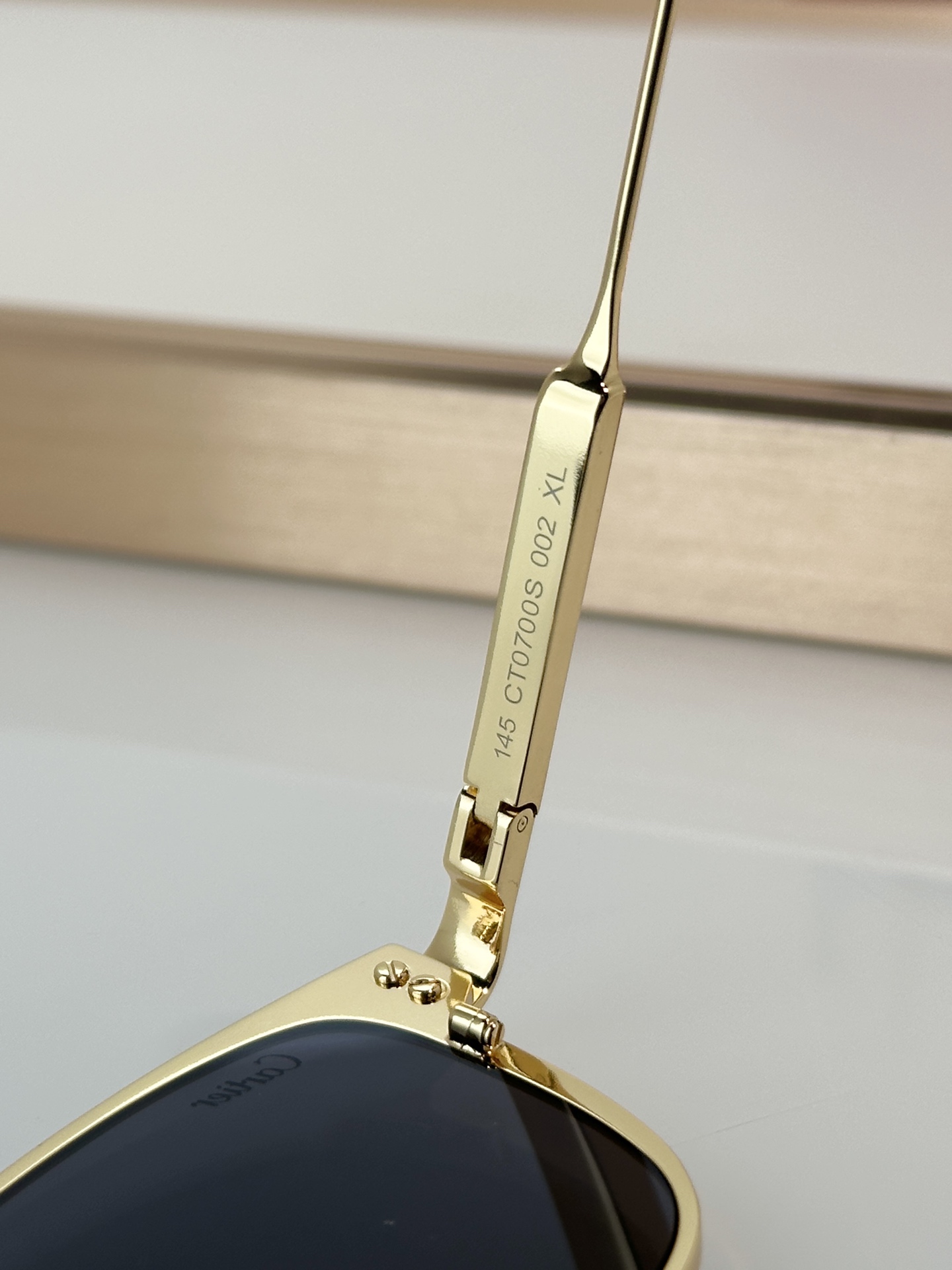 Designer Sunglasses CT0700S