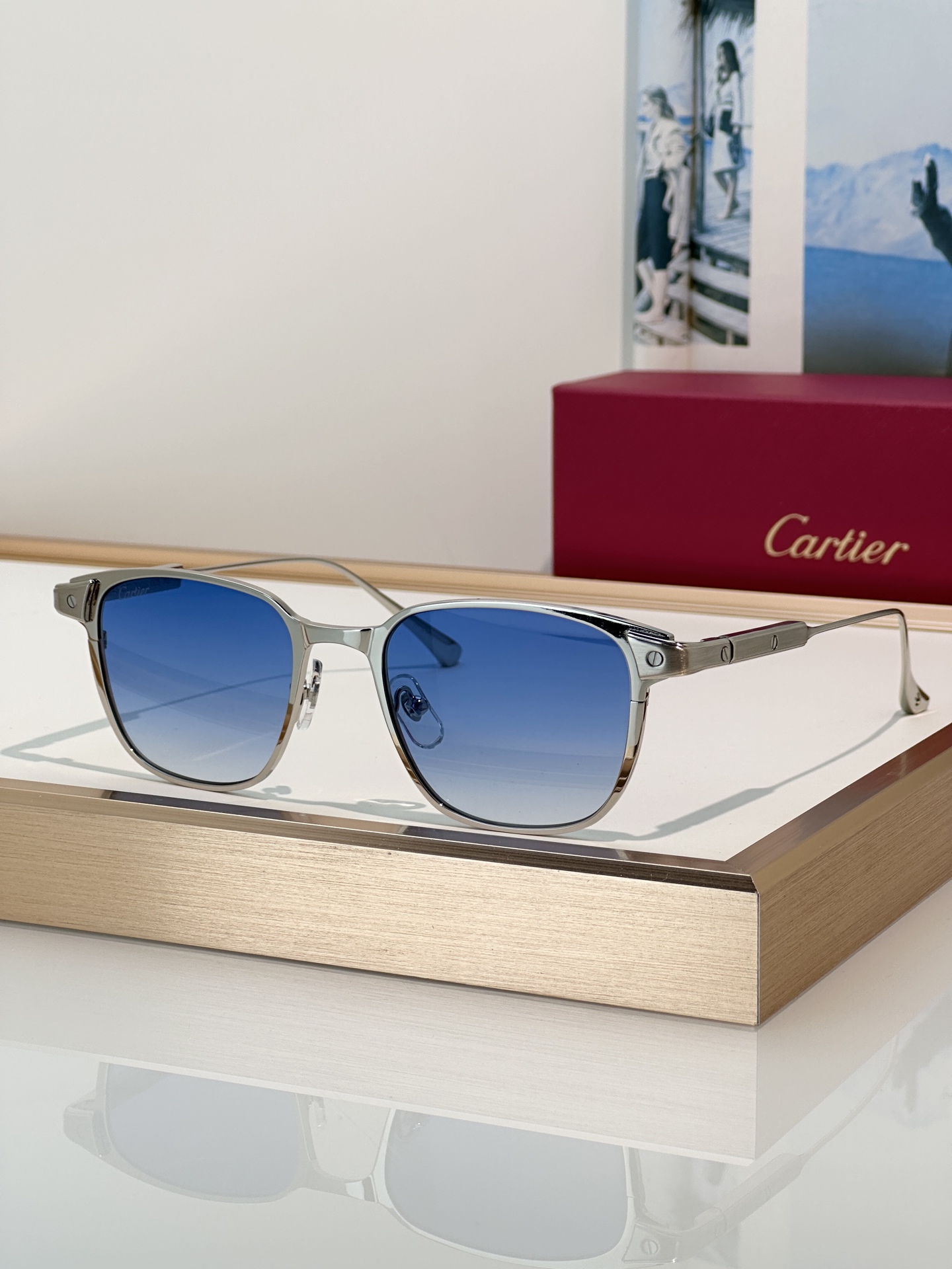 Designer Sunglasses CT0700S