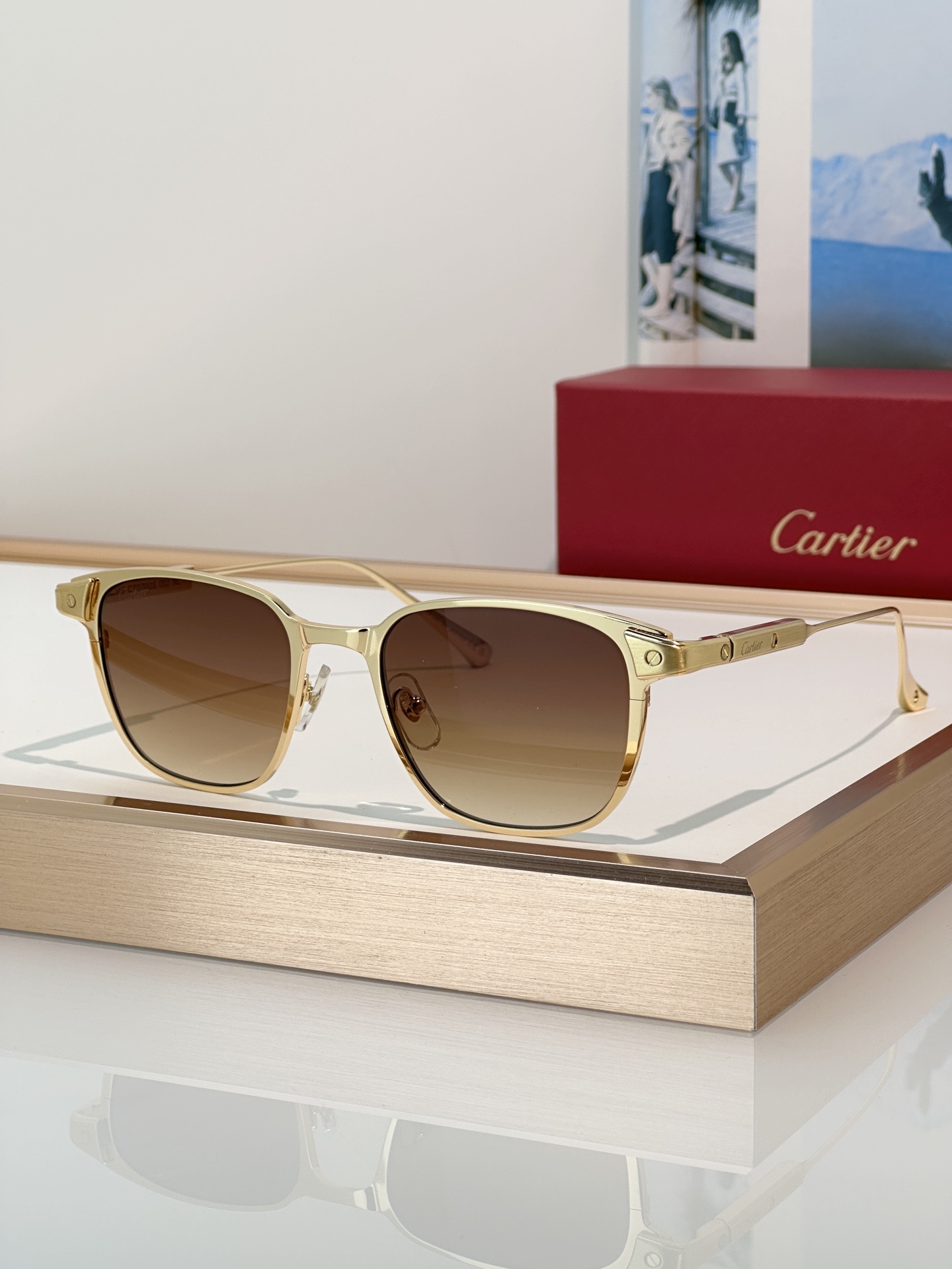 Designer Sunglasses CT0700S