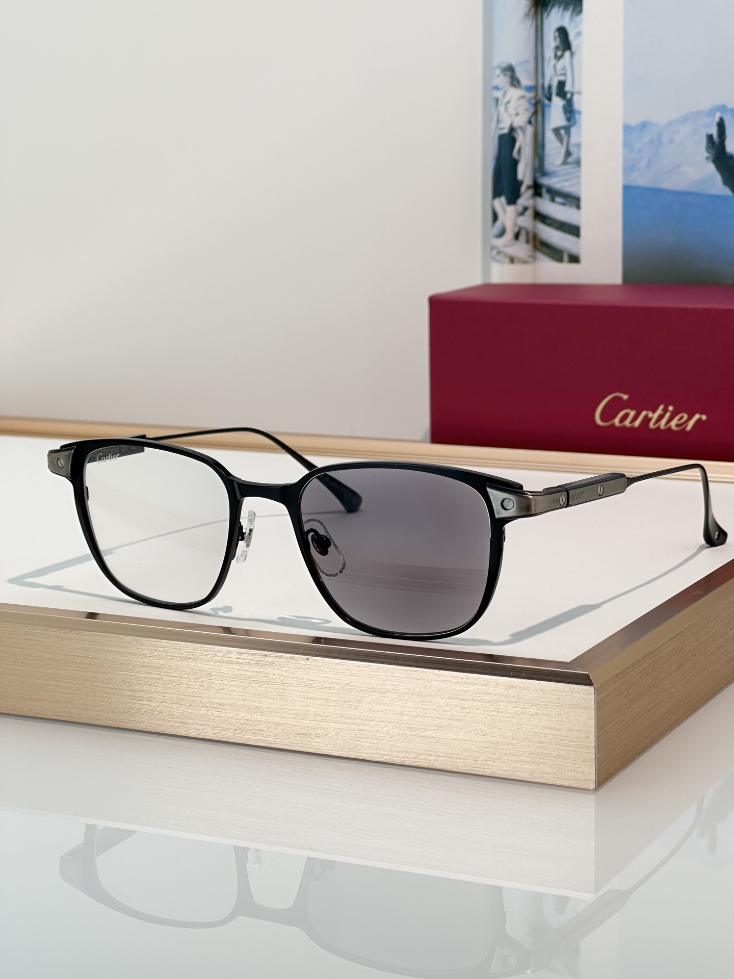 Designer Sunglasses CT0700S