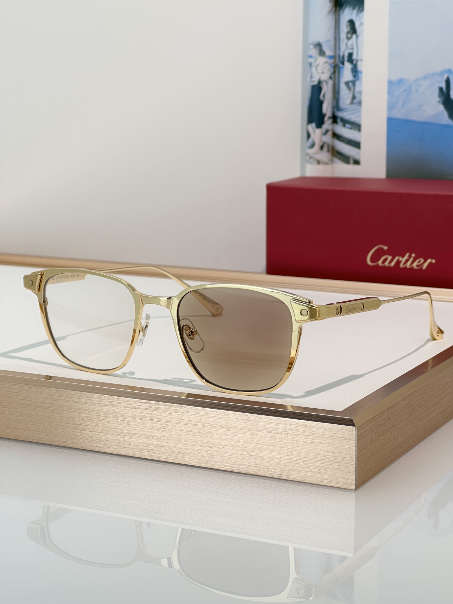 Designer Sunglasses CT0700S