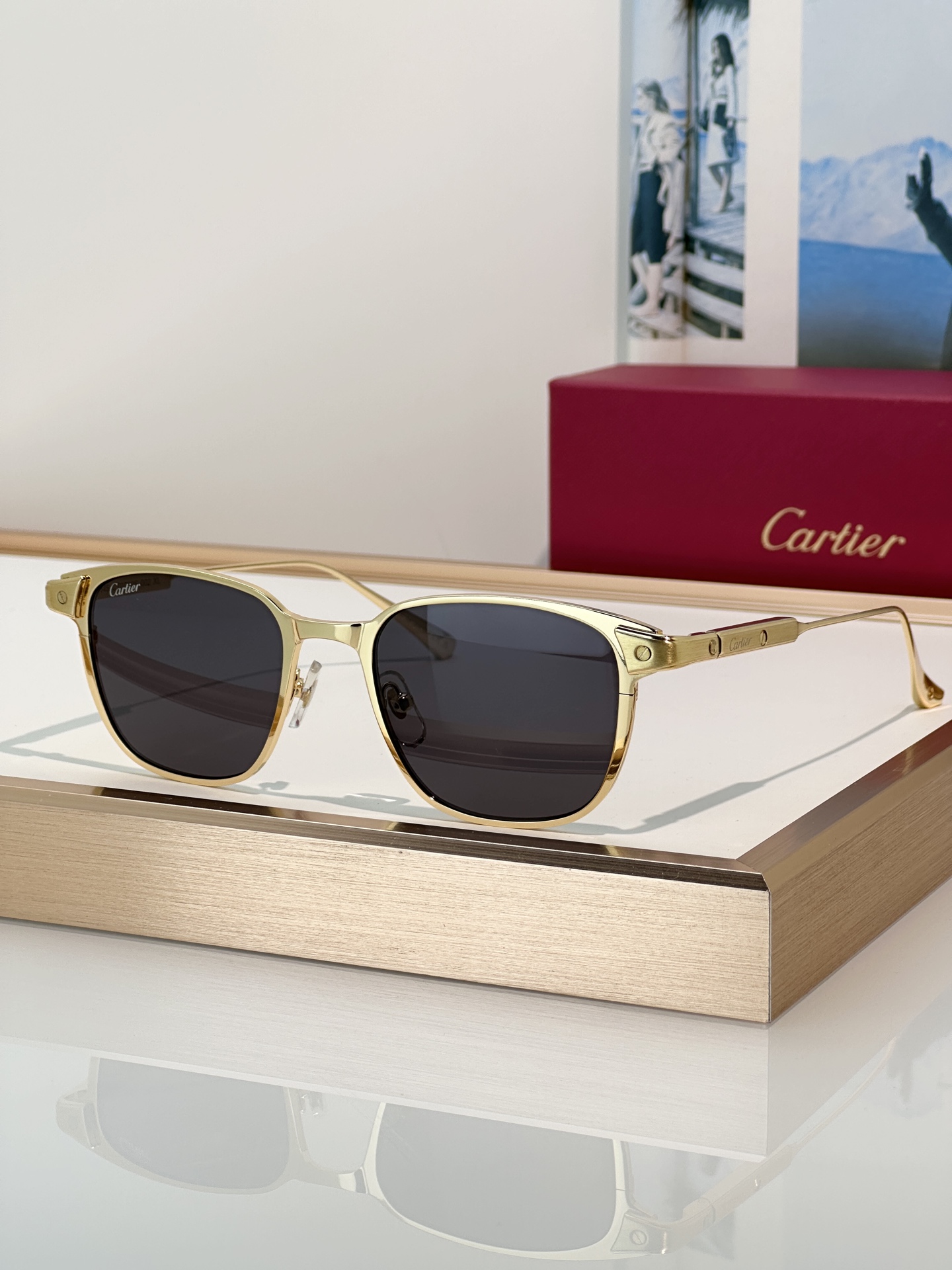 Designer Sunglasses CT0700S