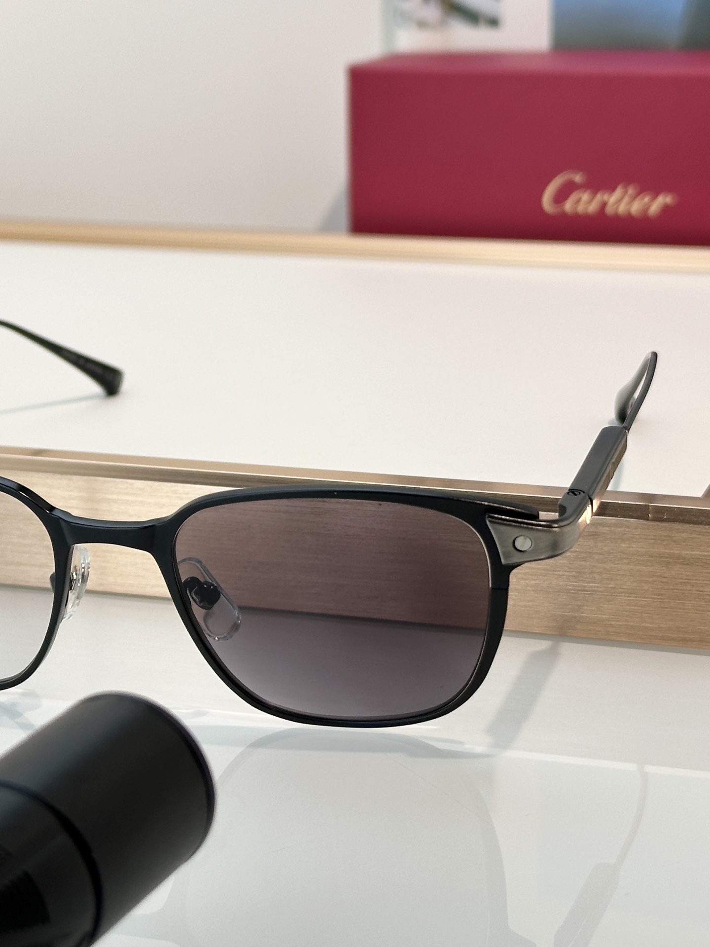 Designer Sunglasses CT0700S
