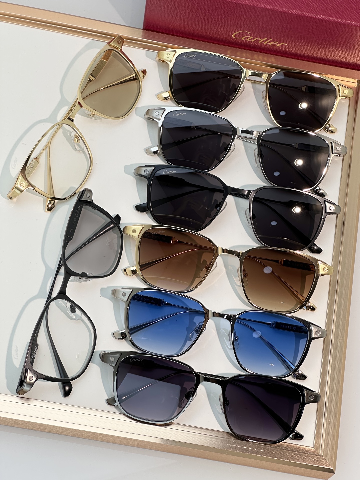 Designer Sunglasses CT0700S