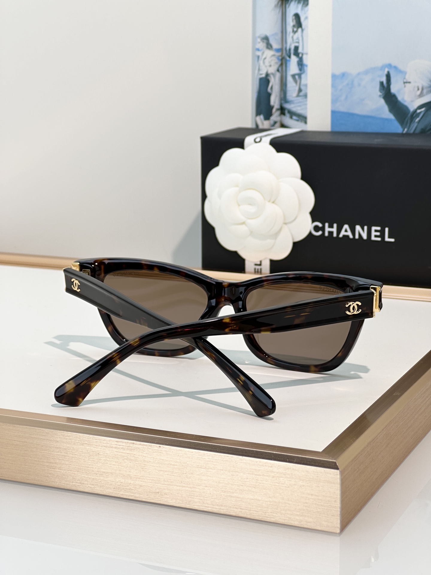 Chanel Sunglasses CH3512