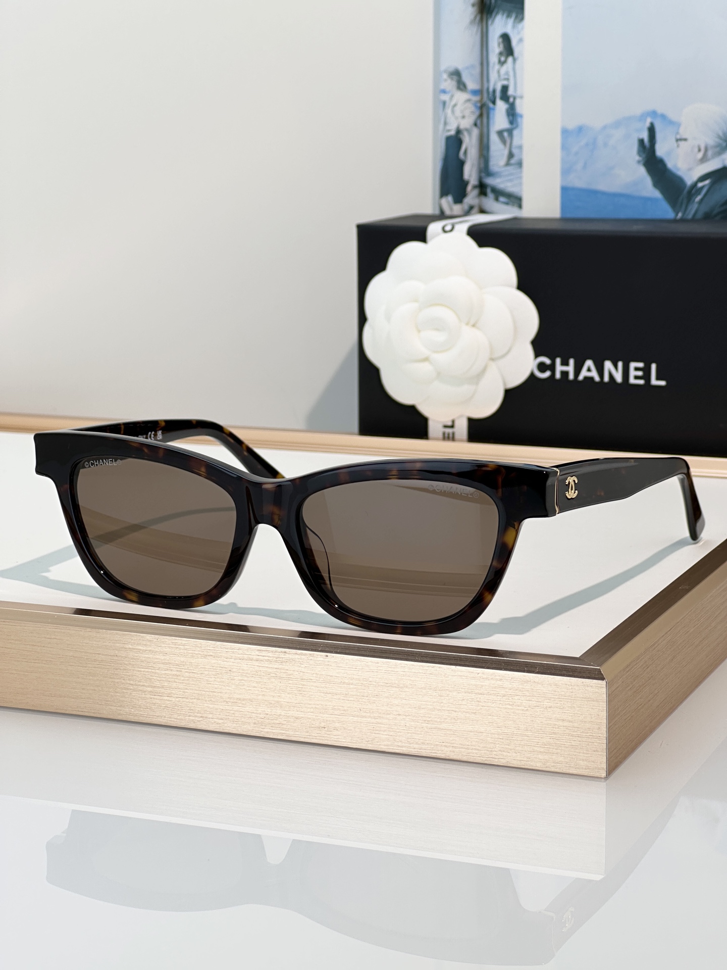 Chanel Sunglasses CH3512