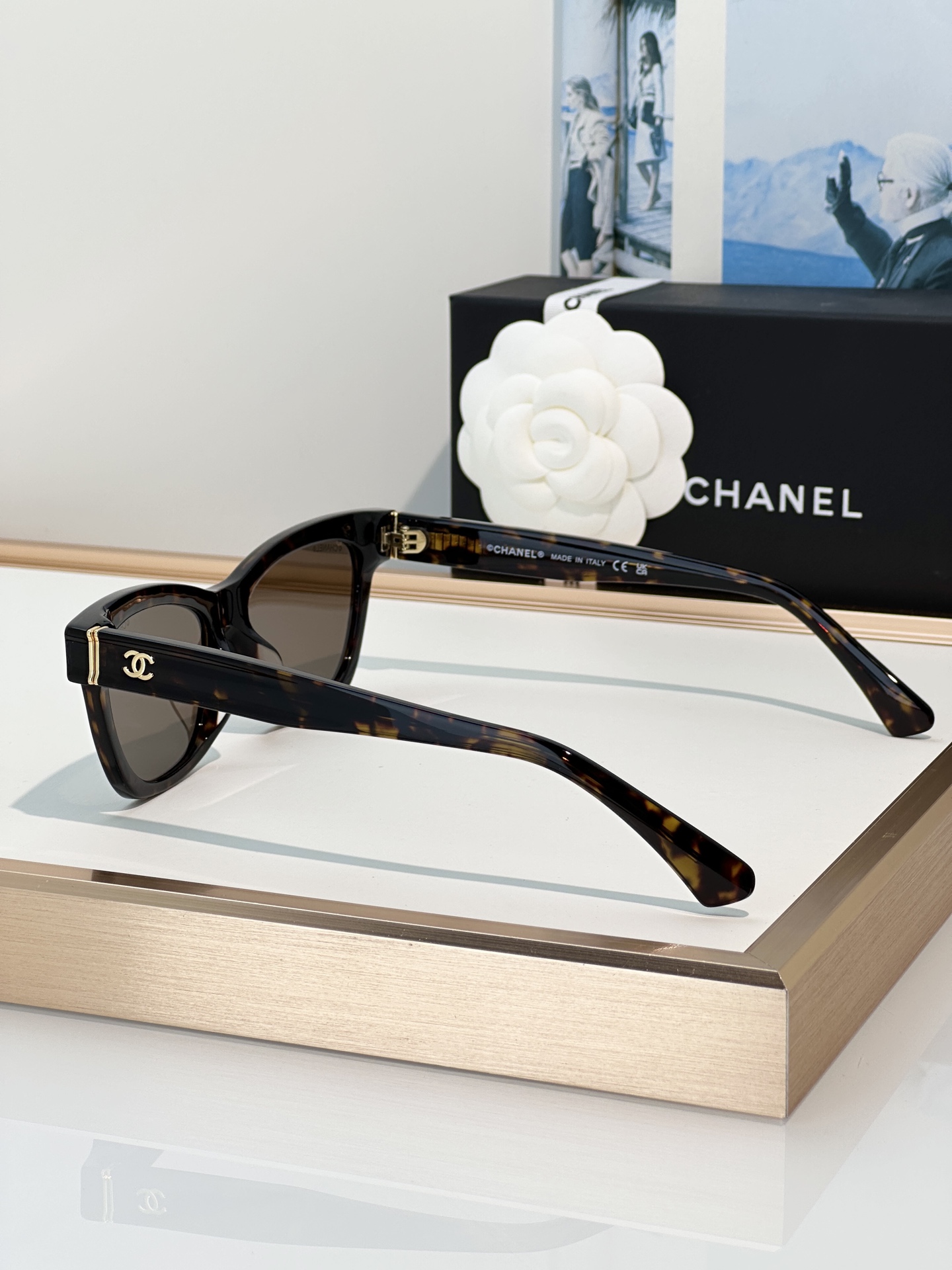 Chanel Sunglasses CH3512