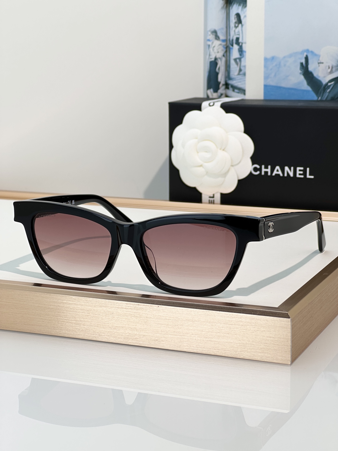 Chanel Sunglasses CH3512
