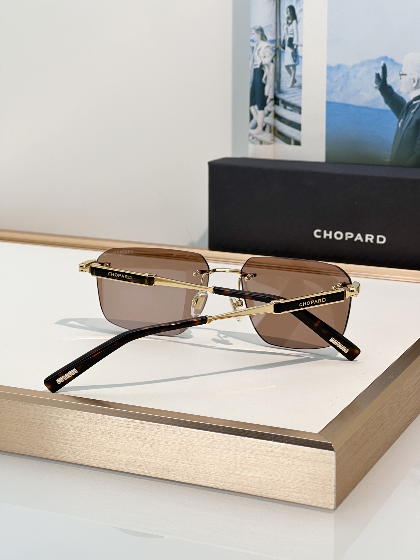 Designer Sunglasses SCHL50