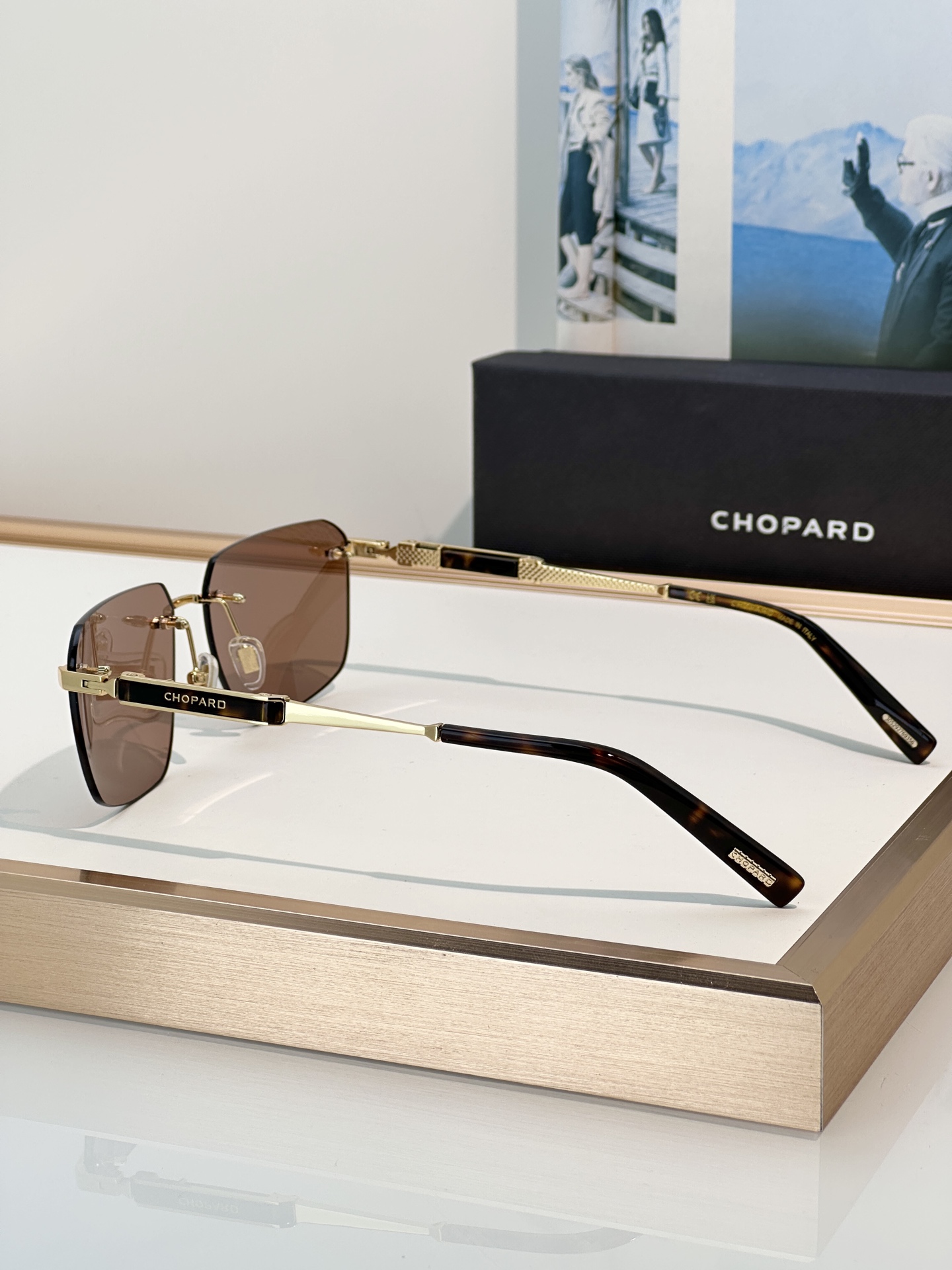 Designer Sunglasses SCHL50