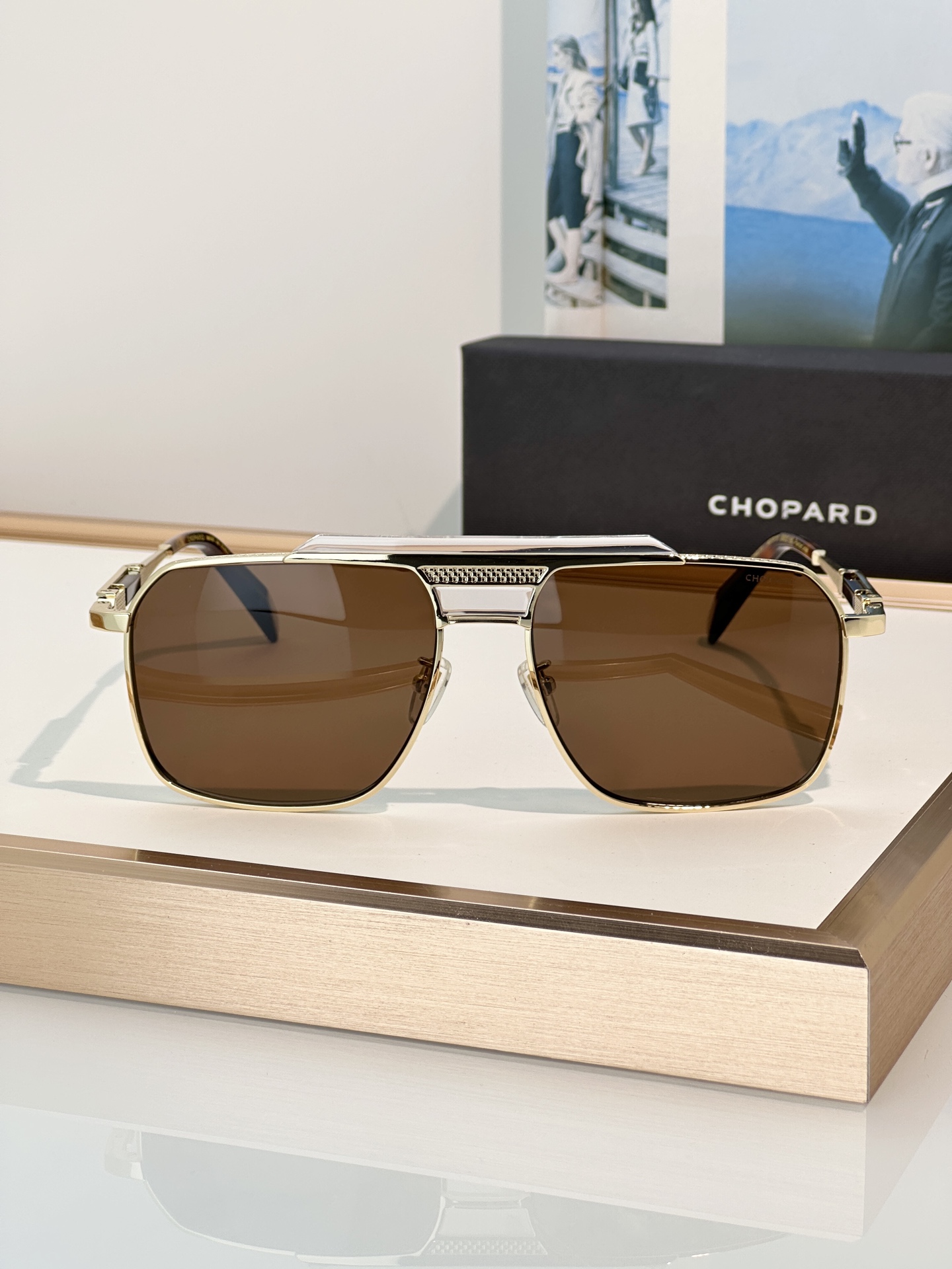 Designer Sunglasses SCHL31