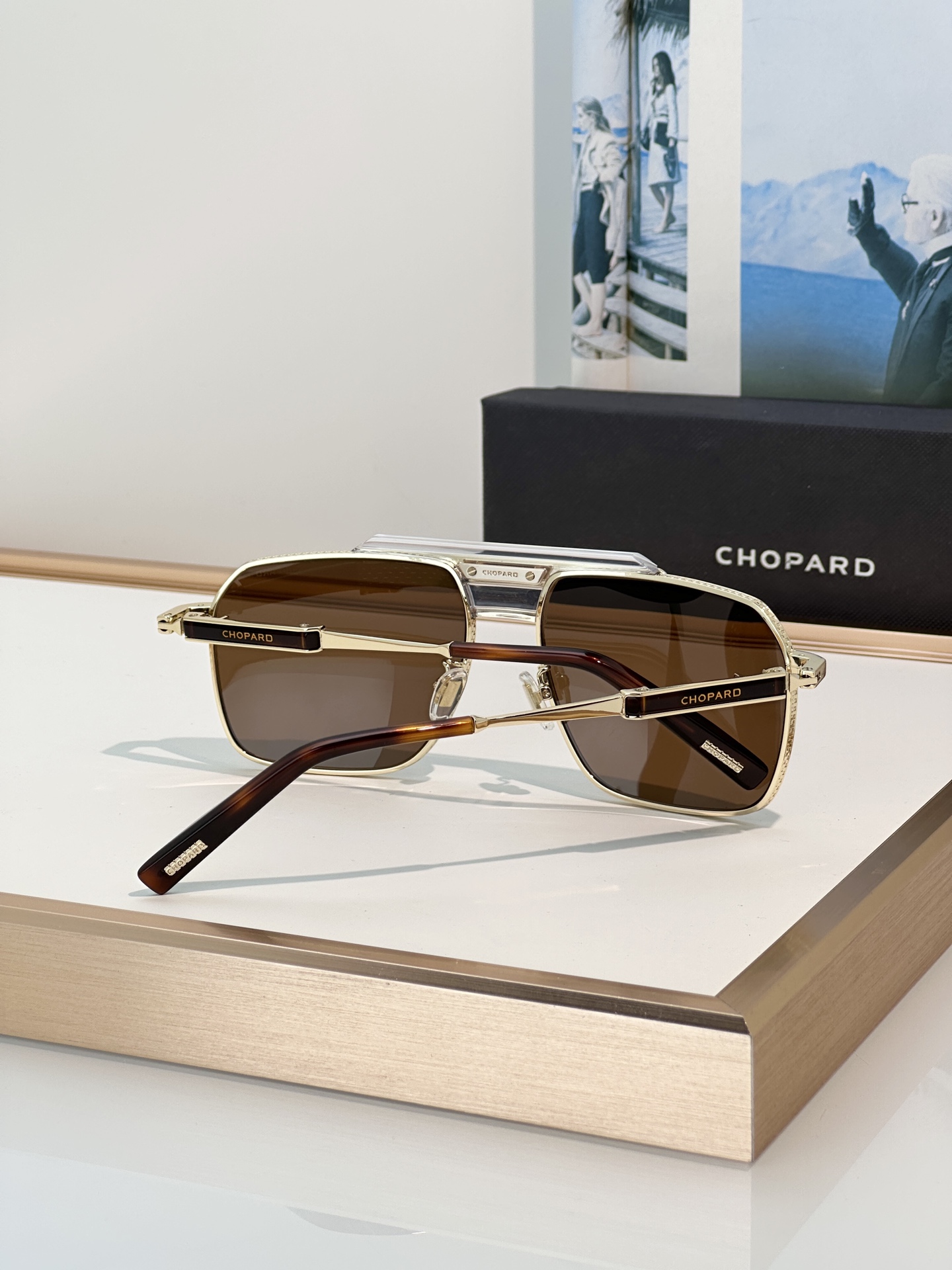 Designer Sunglasses SCHL31