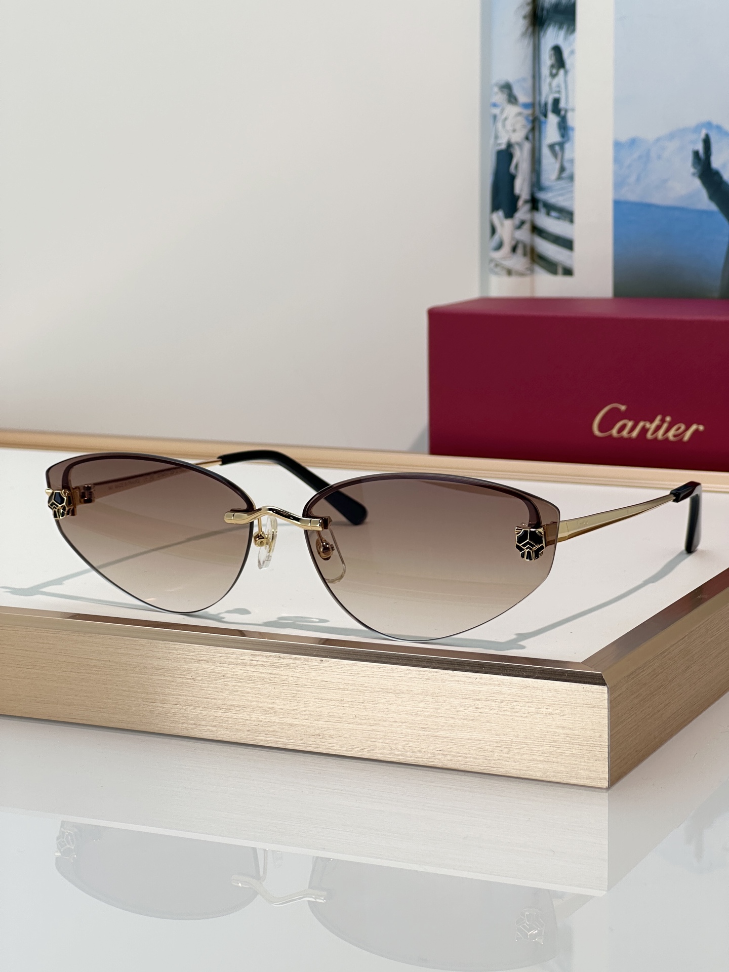 Designer Sunglasses CT0431S