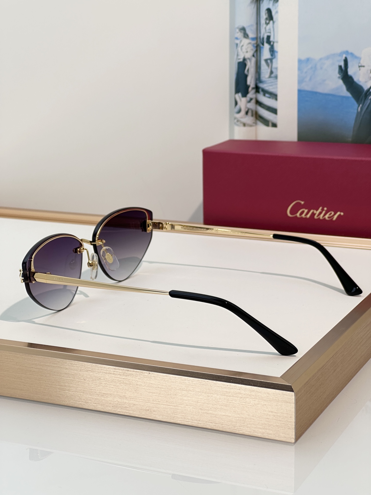 Designer Sunglasses CT0431S
