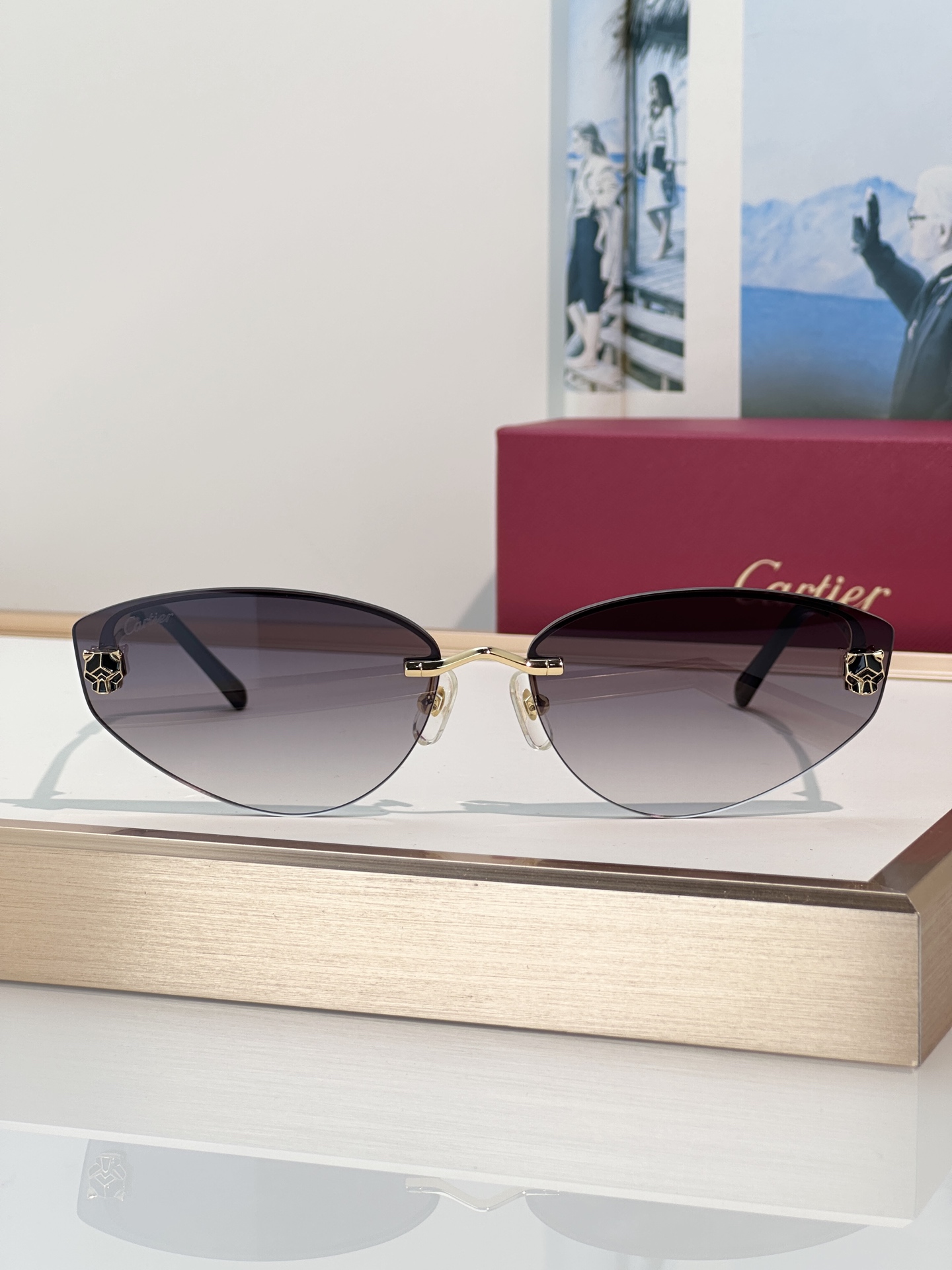 Designer Sunglasses CT0431S