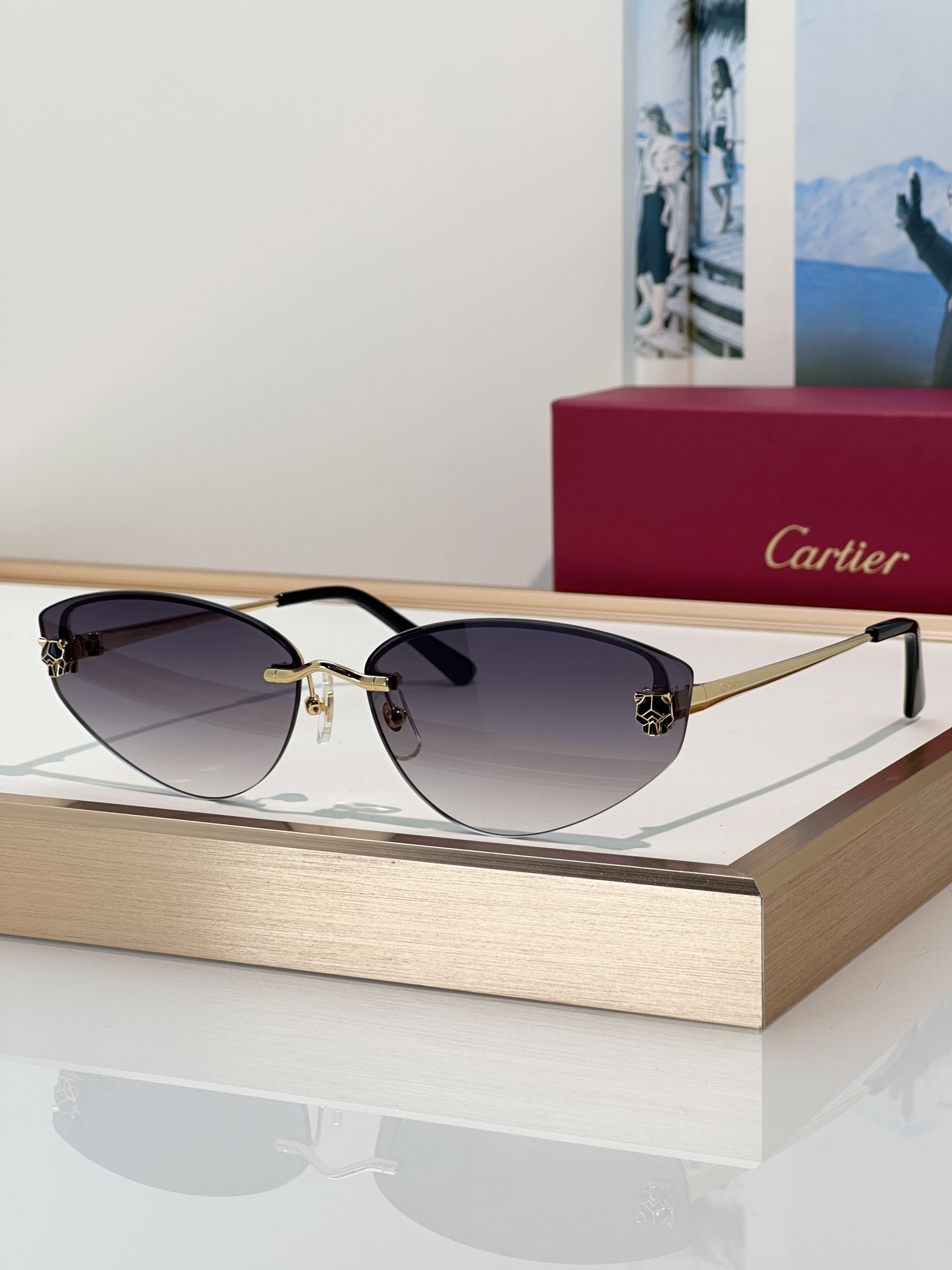Designer Sunglasses CT0431S