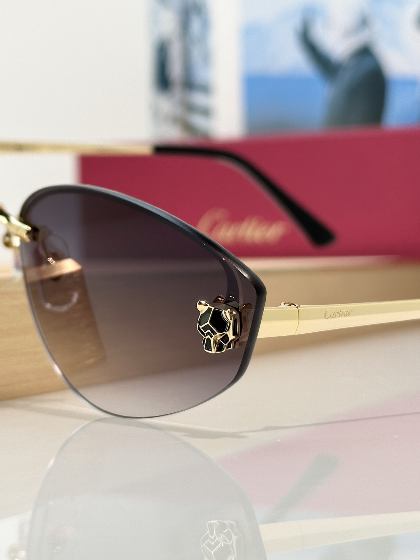 Designer Sunglasses CT0431S